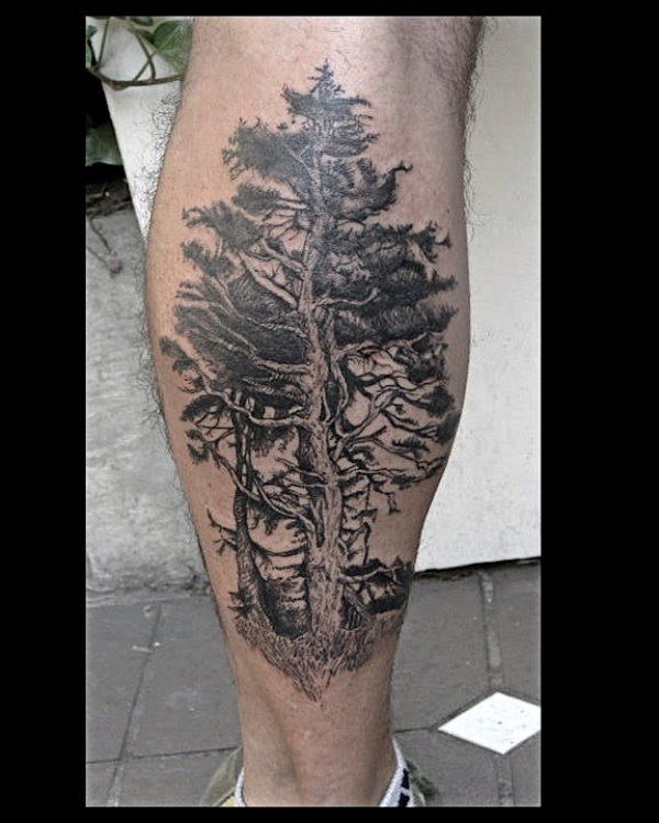 old tree tattoo on calf.jpg