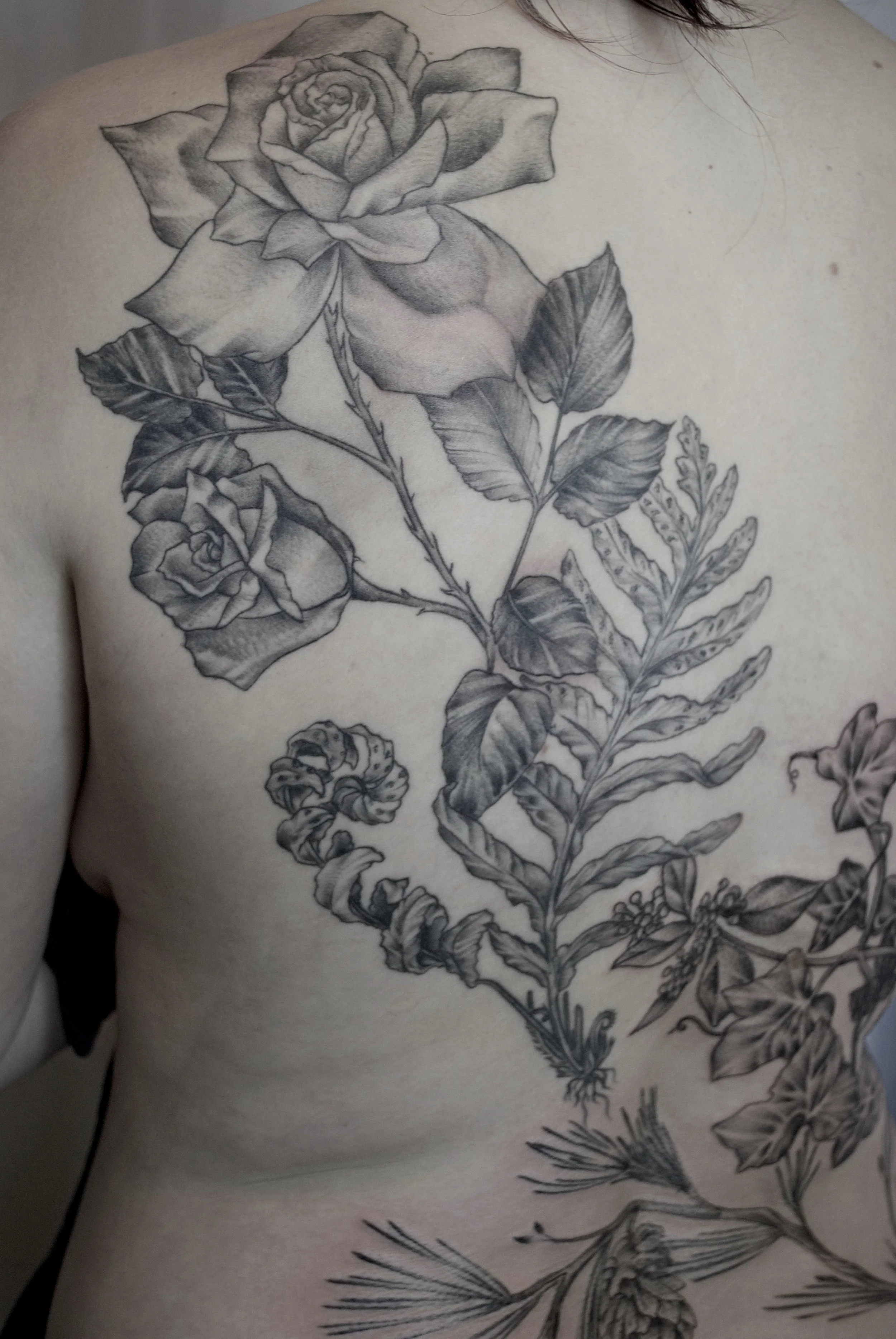 shaunatattoo