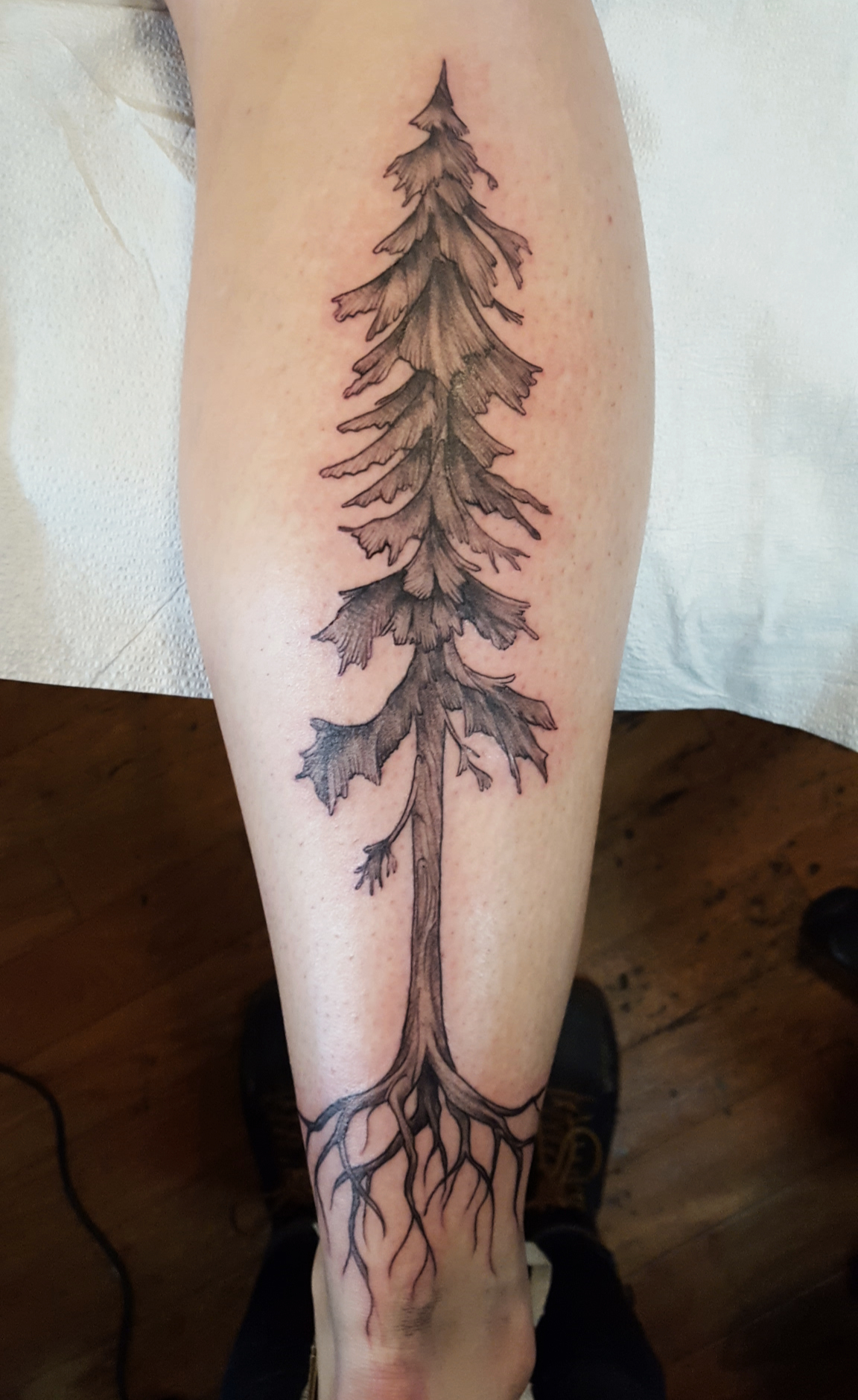 Tree with roots tattoo on calf .jpg