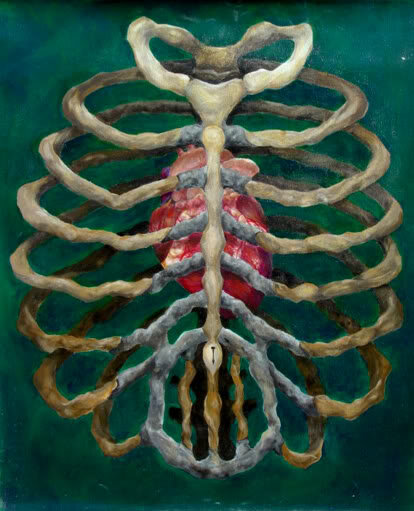 ribcage.jpg