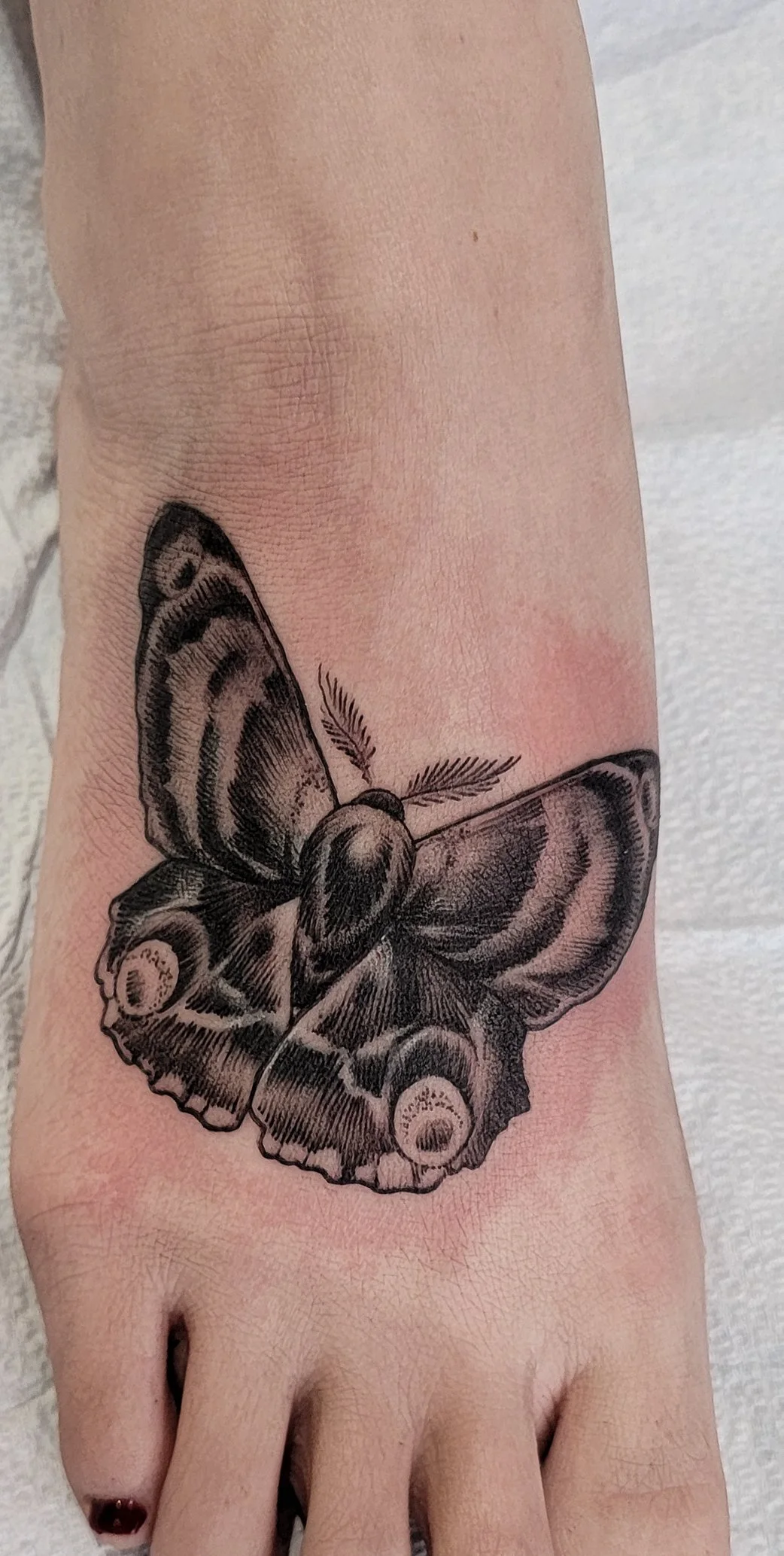 After covering up the jesus fish on foot with a moth.