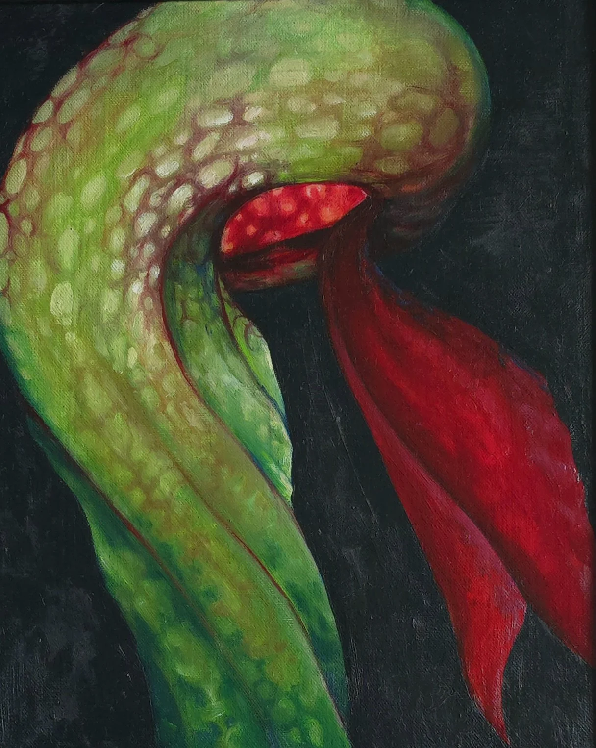 14"x18" Oil on Canvas 
Cobra Lily 
Beauty and Beast Show 2011
Portland, Oregon

