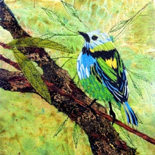 Green Headed Tanager (c)Kit Lang