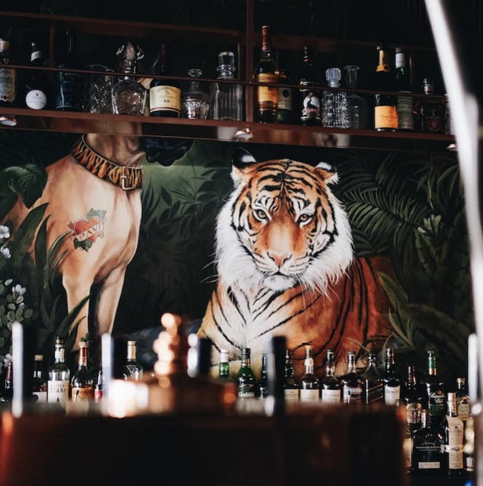 Screenshot 2026-01-05 at 8.46.06 pm.png