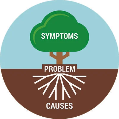 Root Causes-web.jpg
