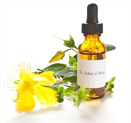 St. John's Wort.jpg
