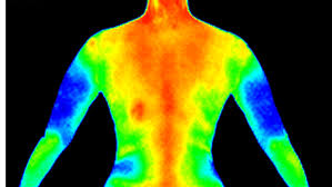 Thermography Screenings- Learn More