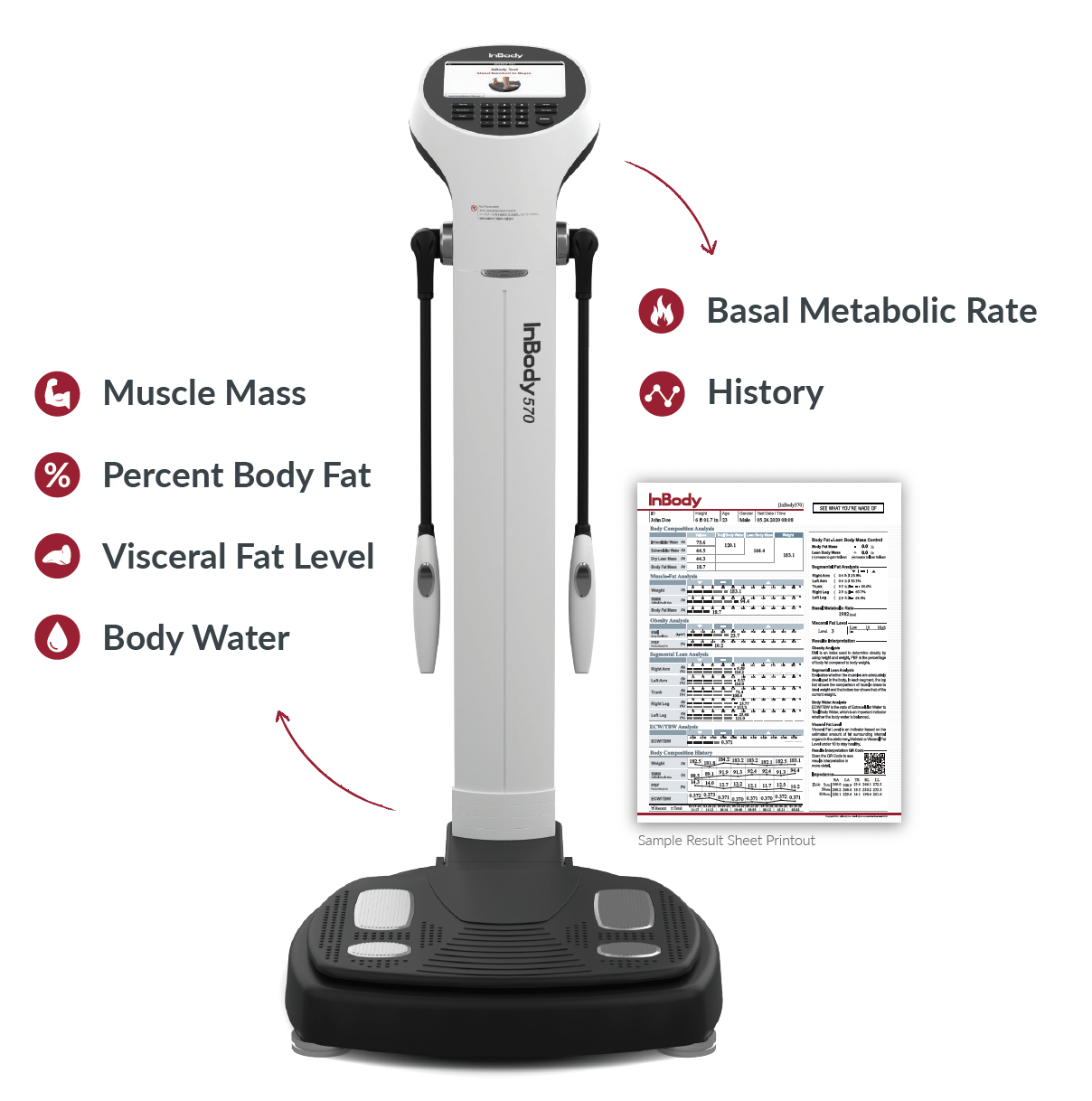 InBody Composition Scan — Dr. Allison Becker
