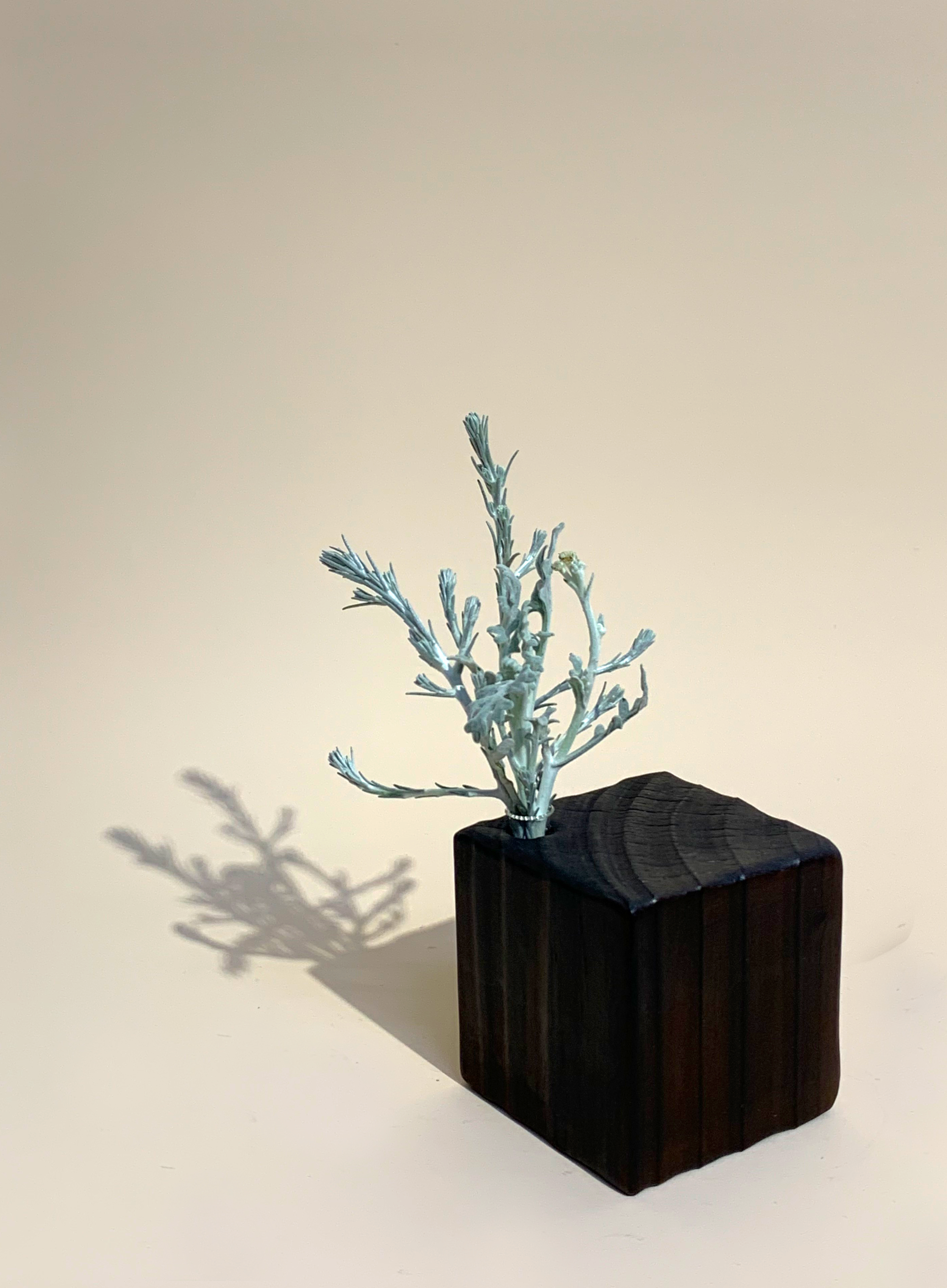 Square Bloku vase.png