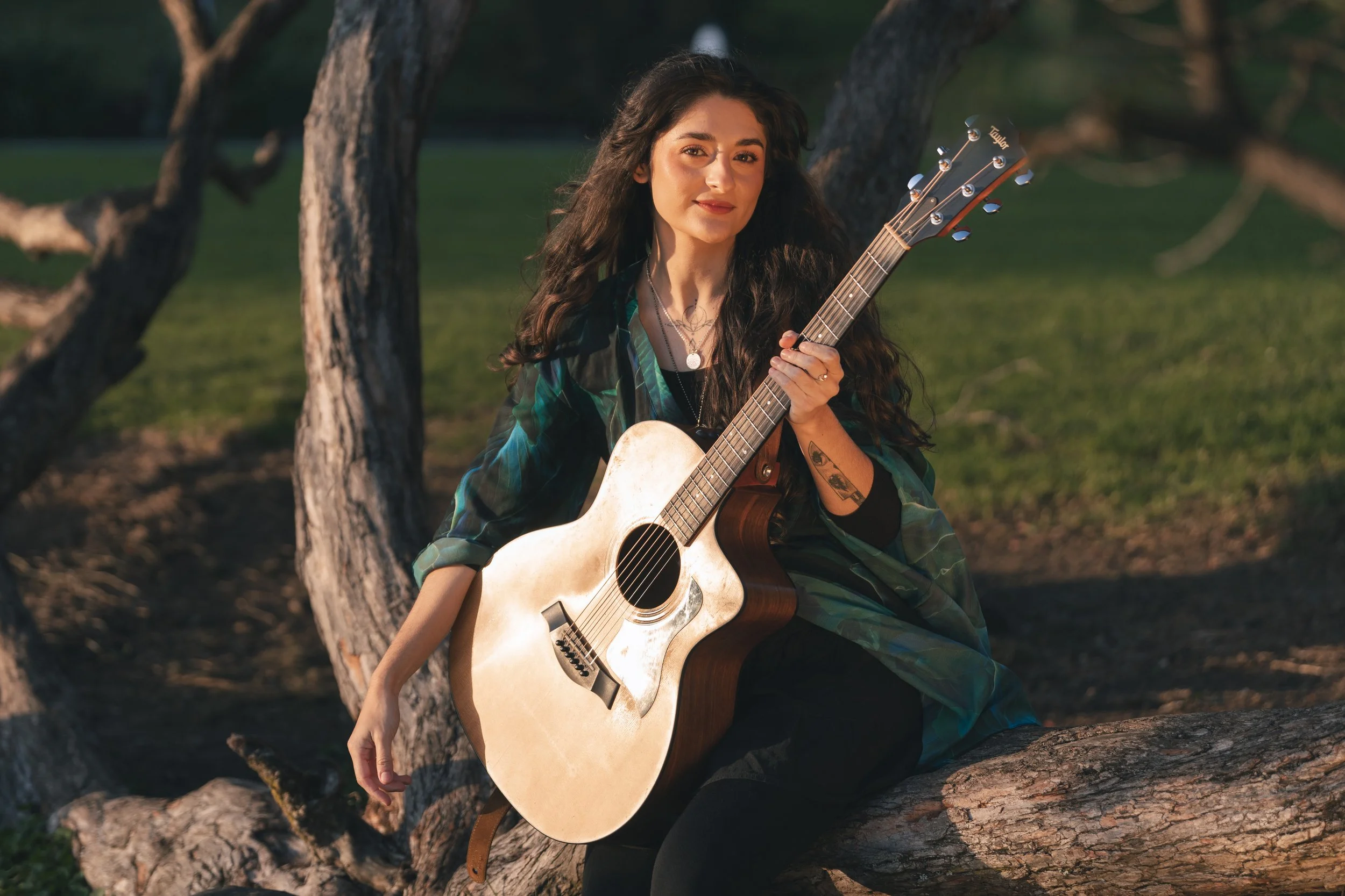 Lauren Collins Homepage.jpg