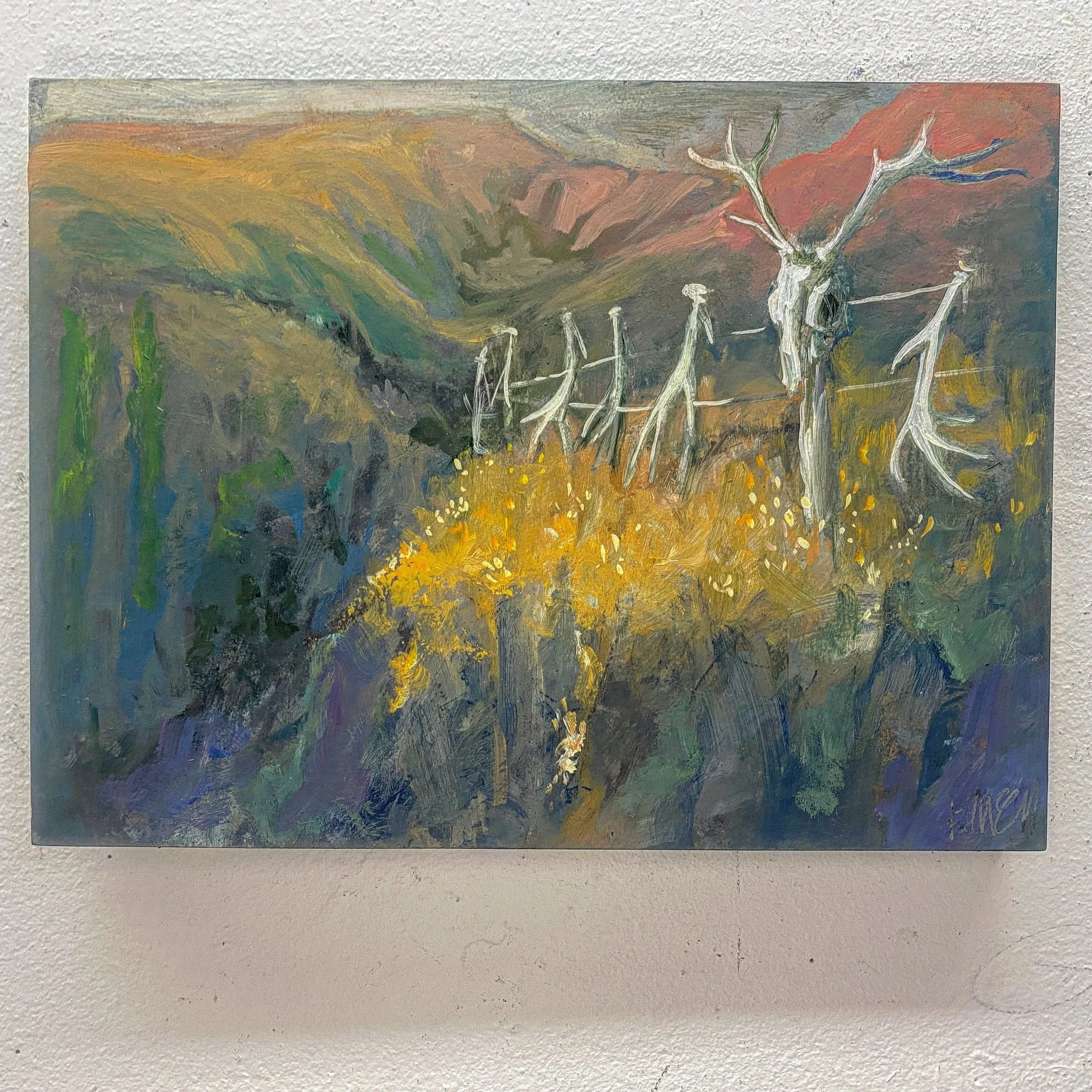 C8DBDA65-311D-437D-A915-54393E76D87C 2.JPG