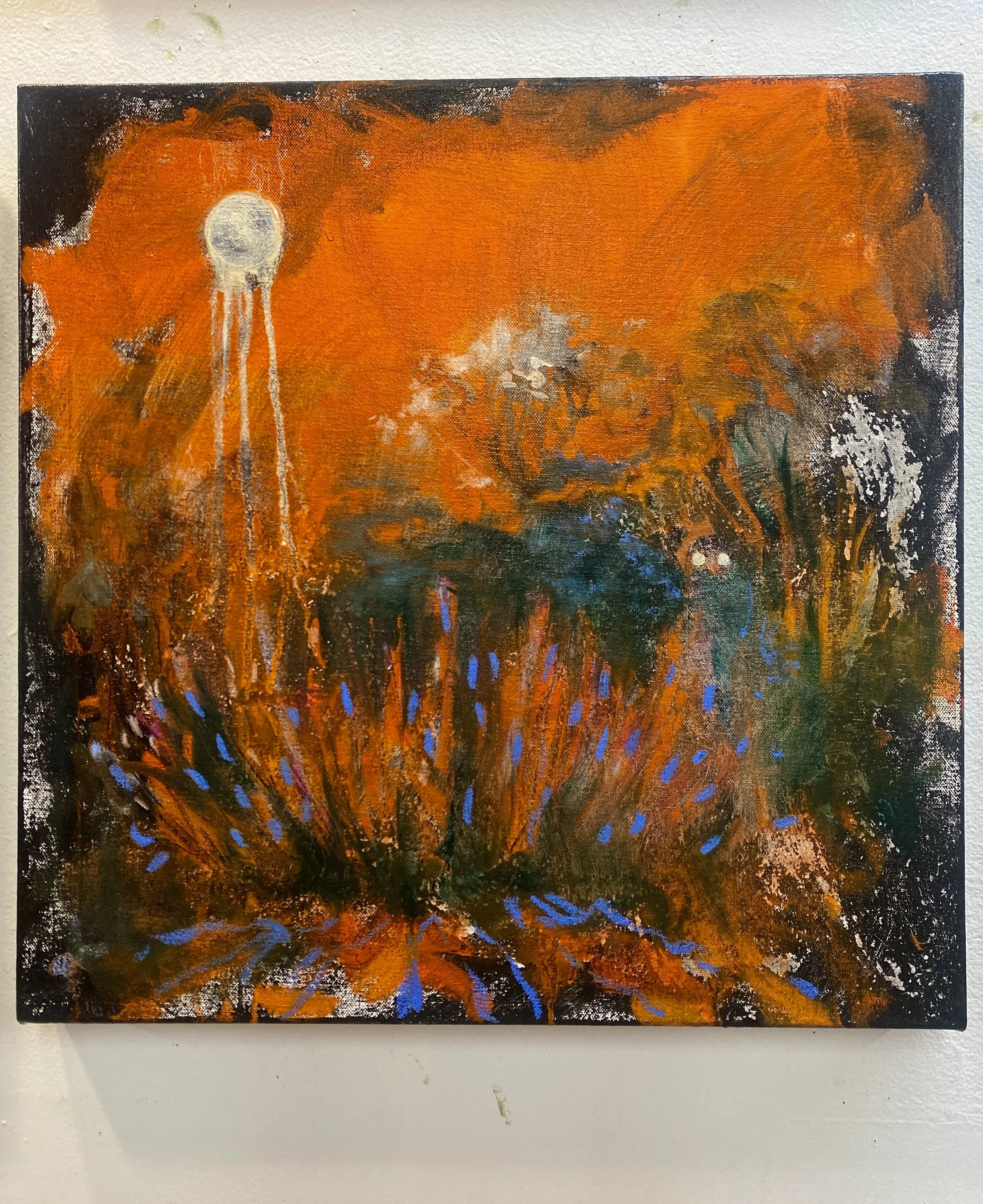 &nbsp;RURU&nbsp;  (New Zealand's owl)