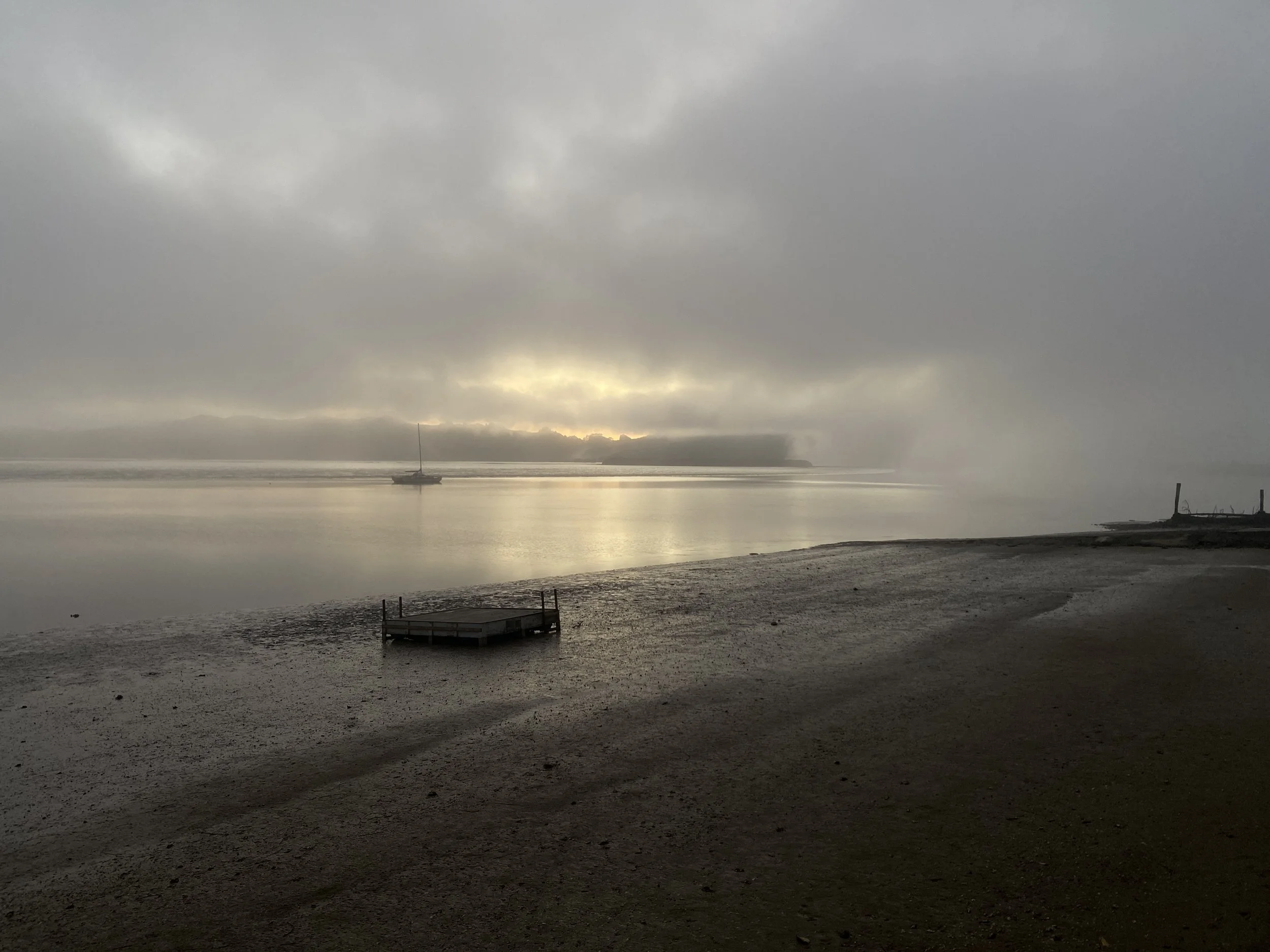 IMG_1983.jpeg
