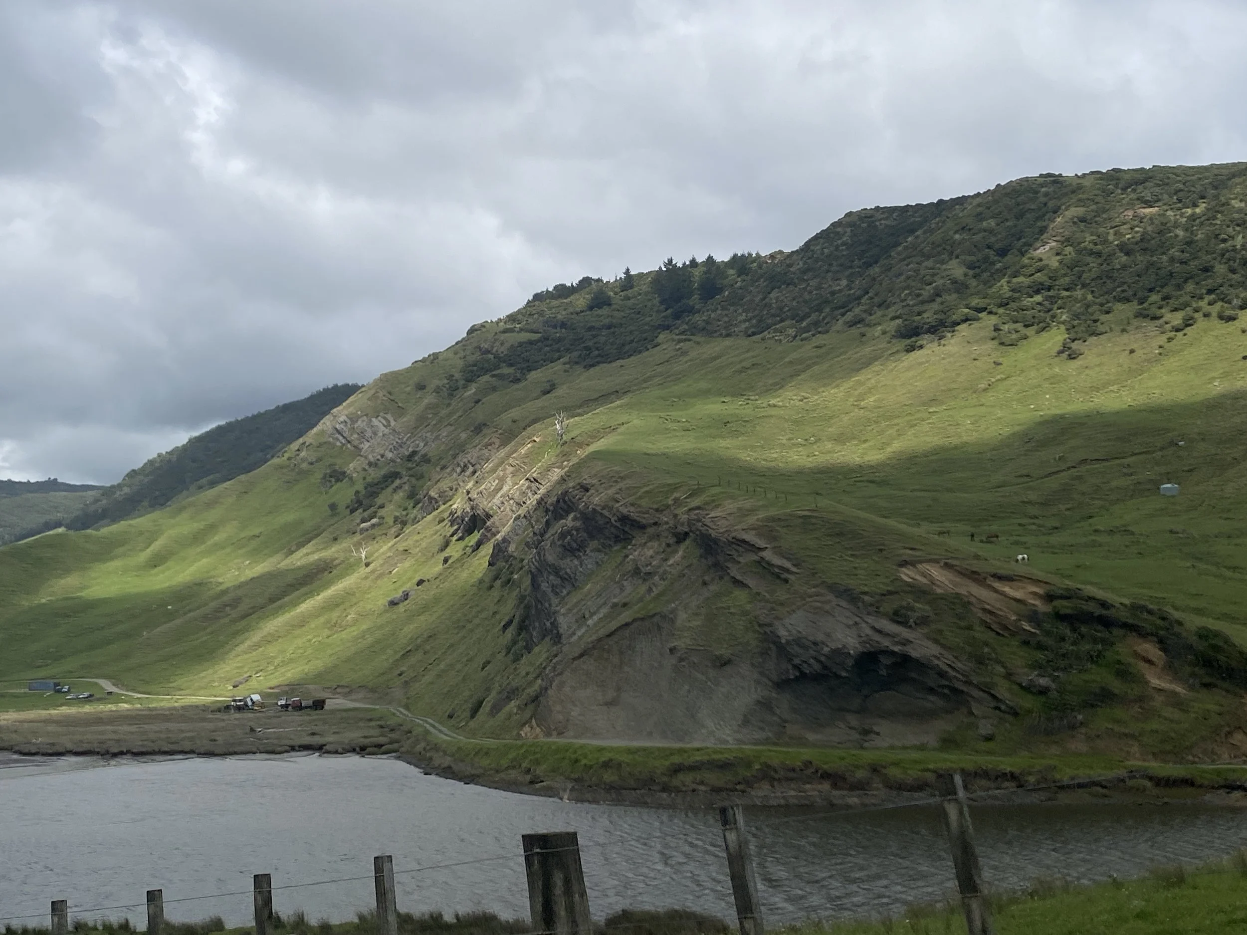 IMG_1961.jpeg