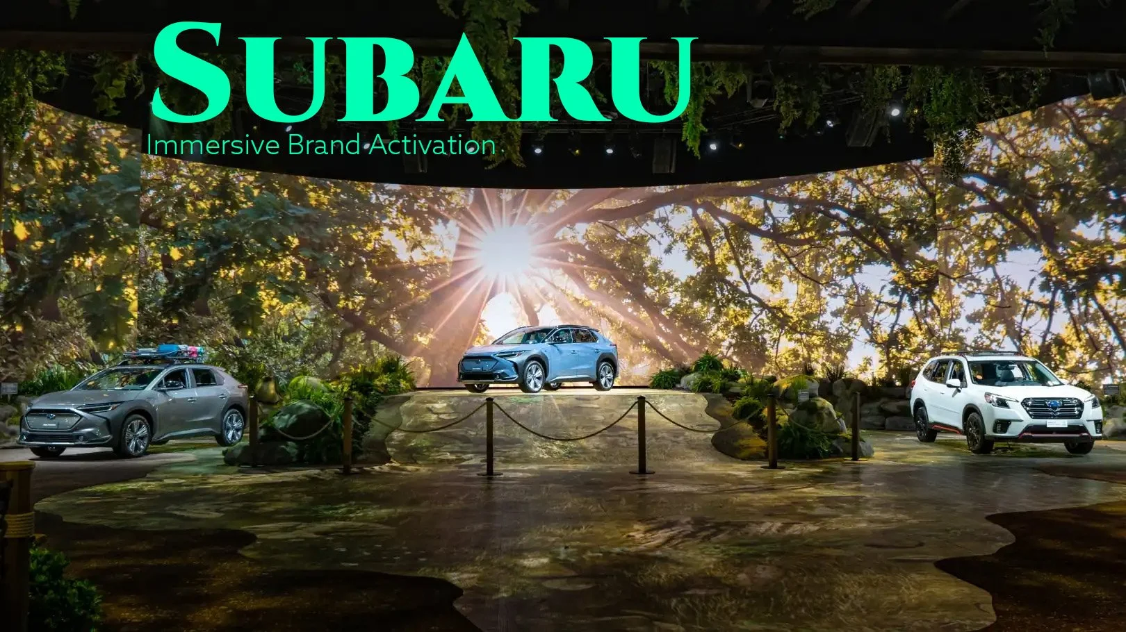   https://nextnowagency.com/work/subaru-immersive-brand-activation  