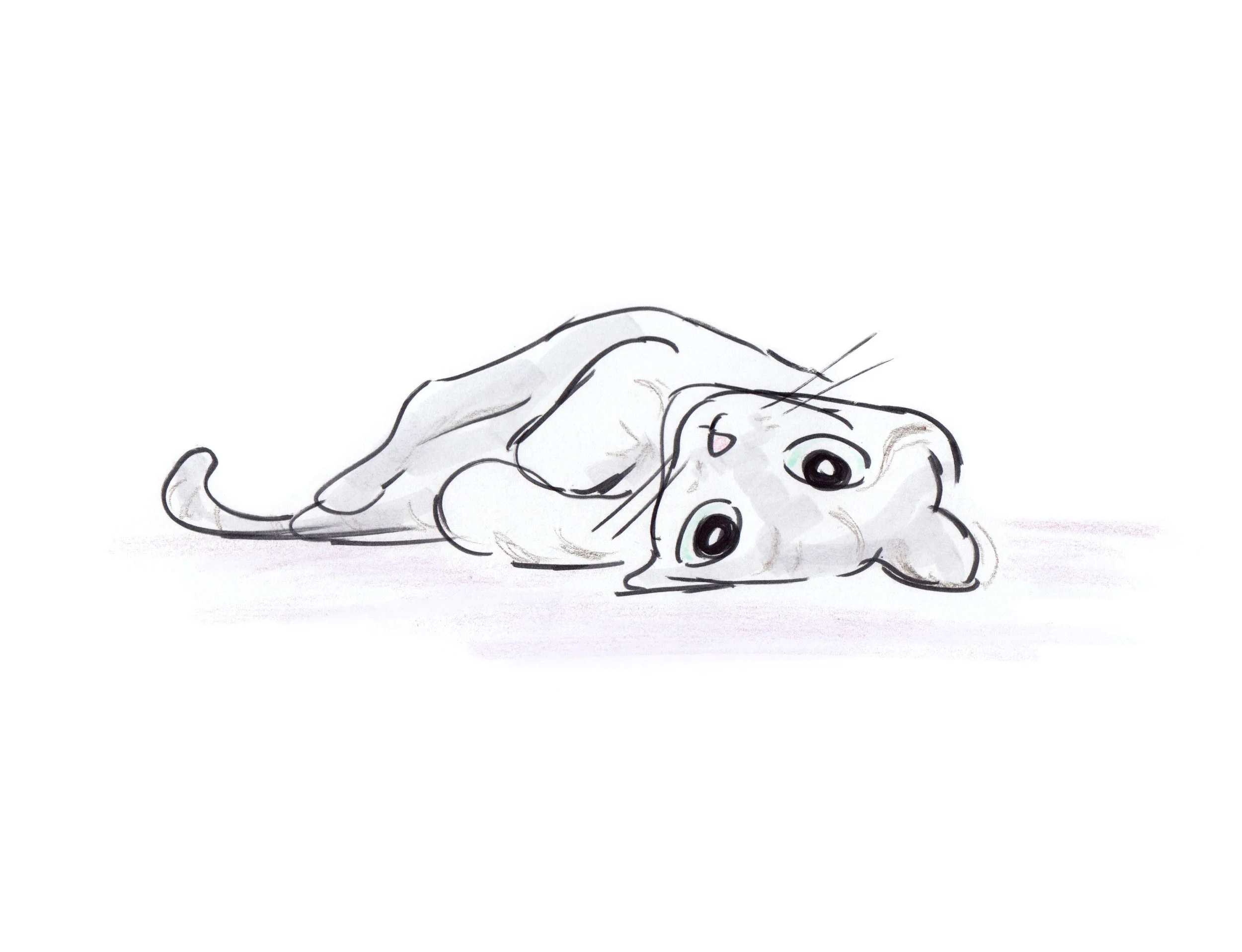 Copy of cat_sketch_14.jpg