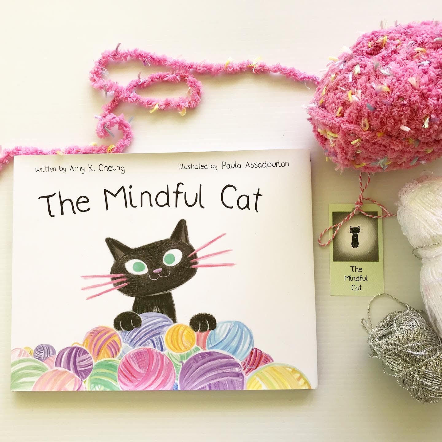 The Mindful Cat Book Available Now! — The Mindful Cat Book