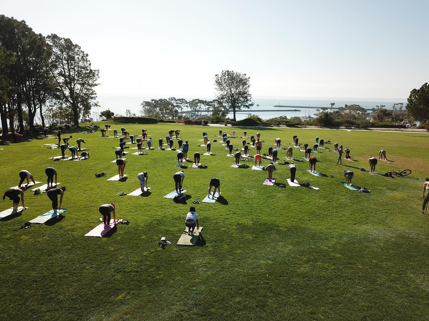Join us at #iHeartYoga for yoga in the park overlooking the ocean! 🌊 Classes are only $10, and we welcome everyone&mdash;kids, dogs, all ages, and all skill levels! 🧘&zwj;♀️ Breathe in the fresh air and enjoy the beauty of nature while you #yoga. C