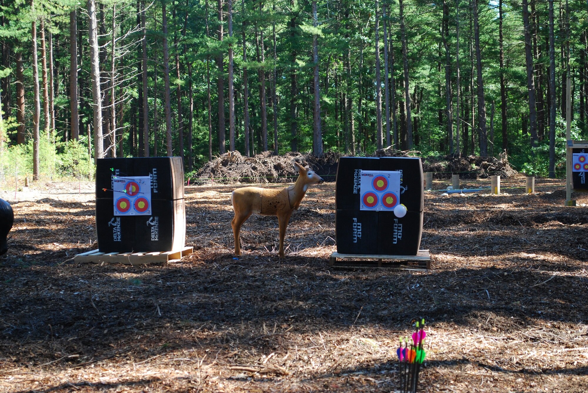 Outdoor archery range in a wooded area with targets, including a deer-shaped target and arrows.