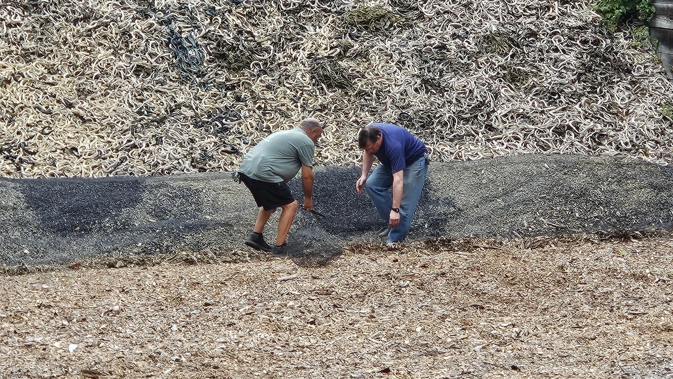 Range Repair (2025)

 

 The rubber is covered in a fine net to minimize the displacement cause by rounds impacting. 