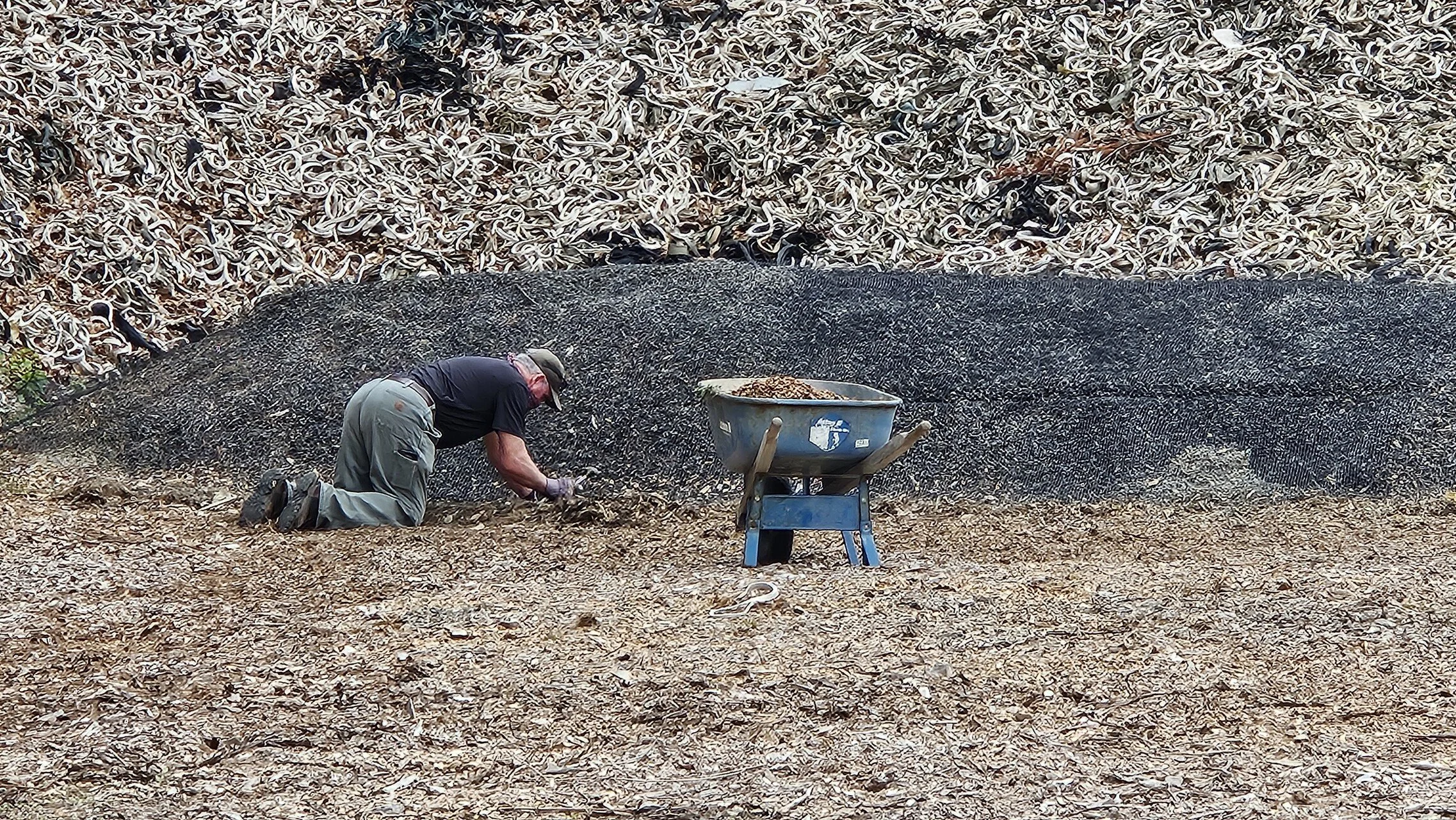 Range Clean Up (2025)

 

 Our impact areas are covered in a rubber material. This reduces the chance for ricochets. 