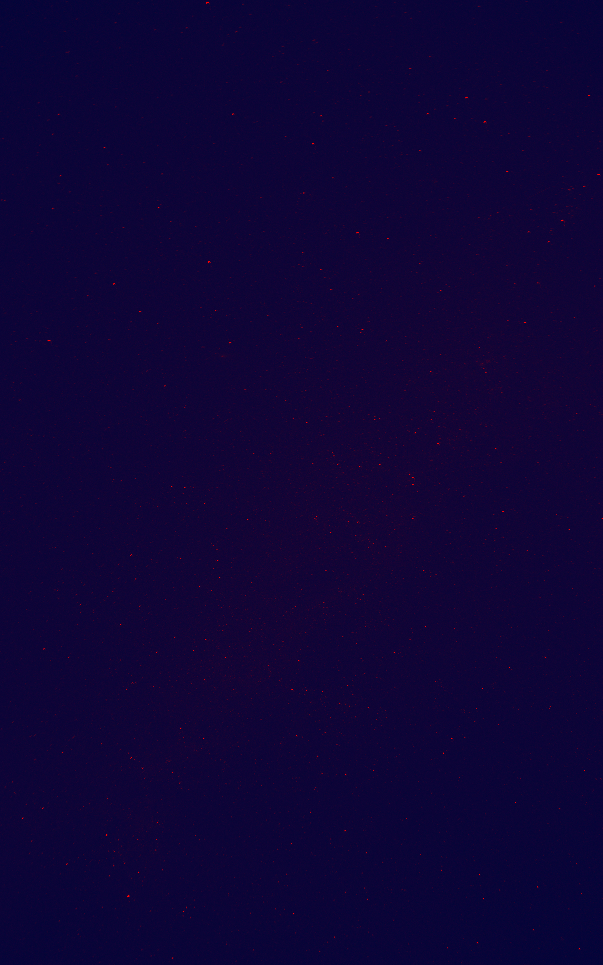 DIT logo background.jpg