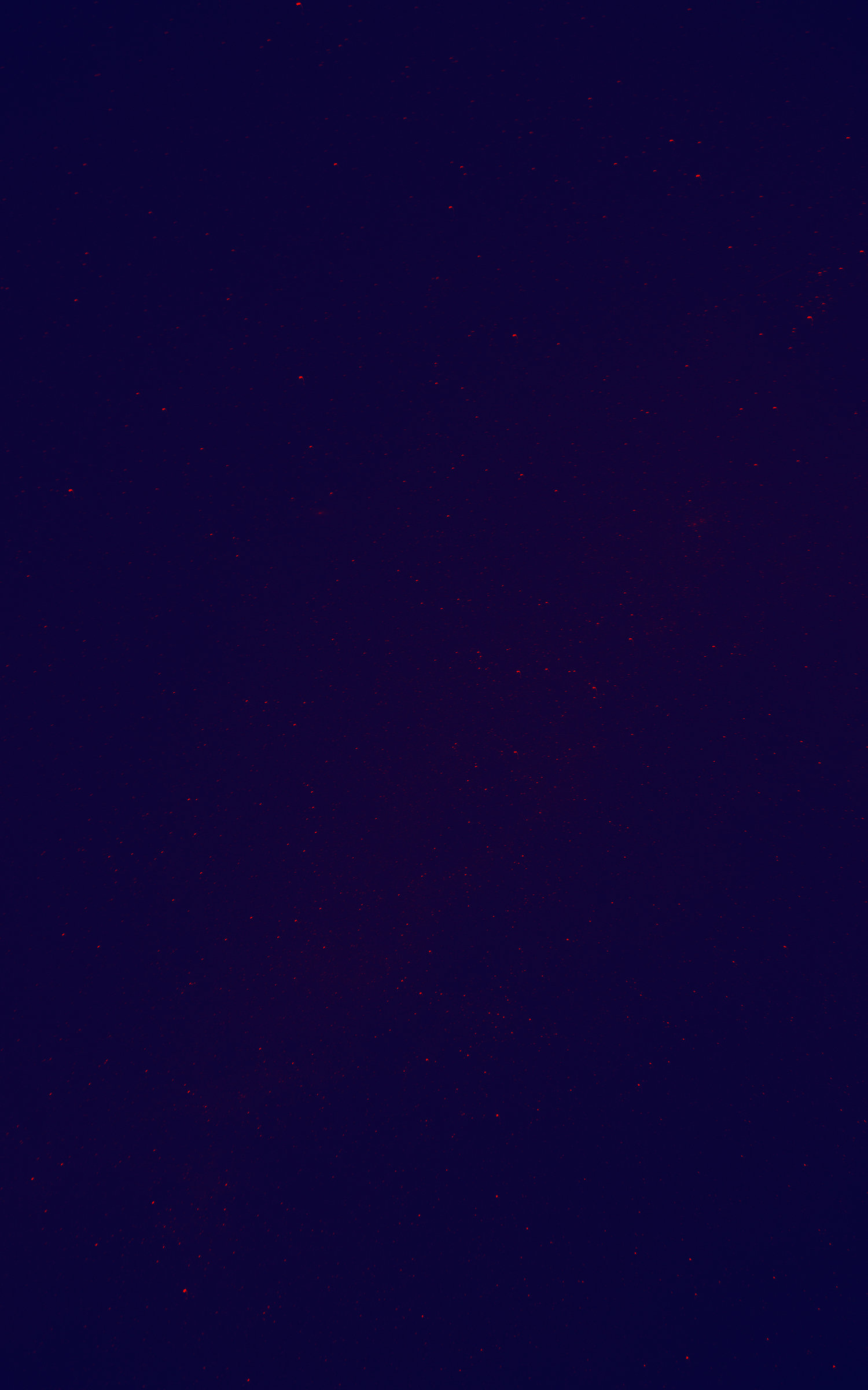 DIT+logo+background.jpg
