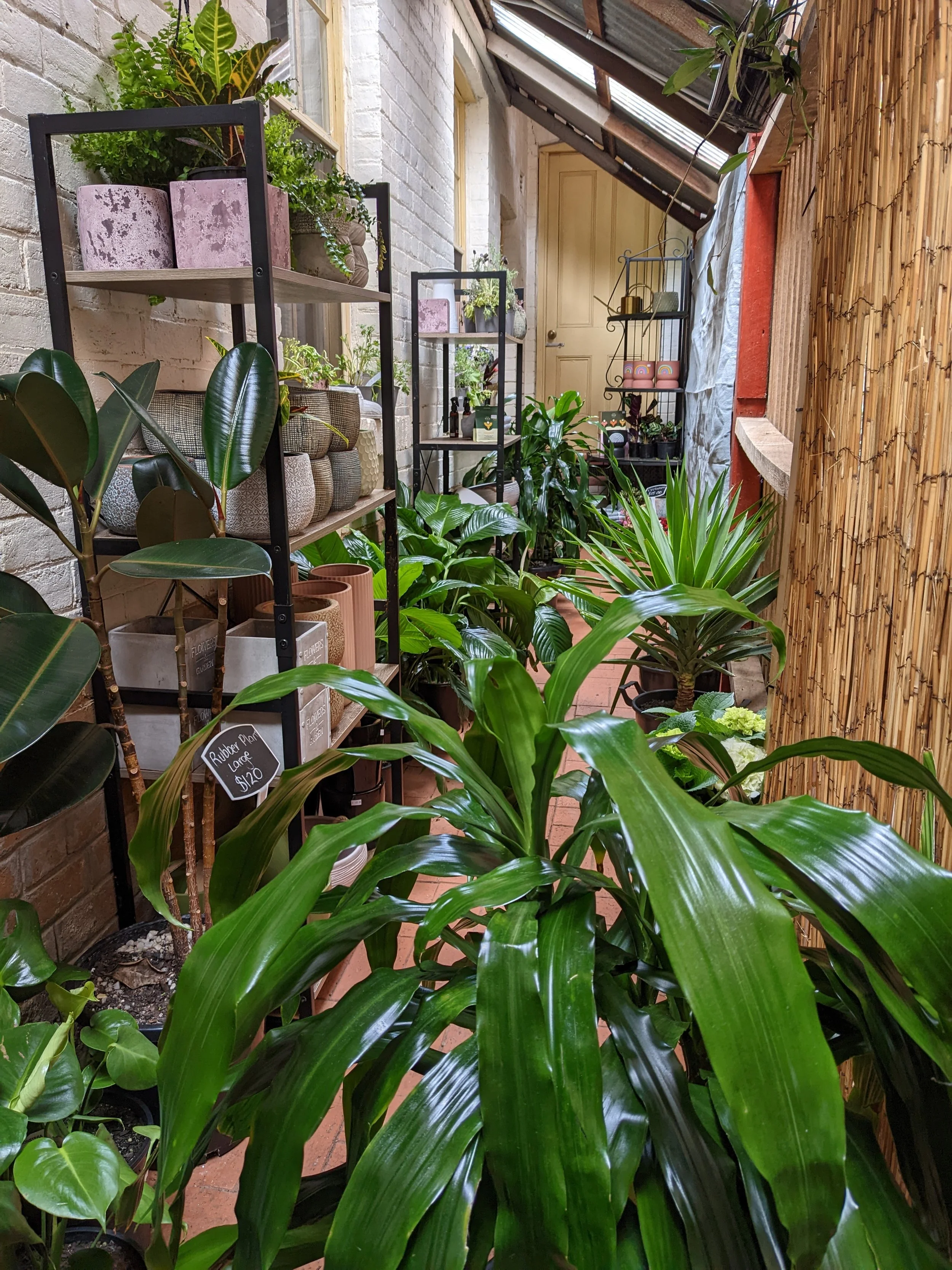 Pick Me Flowers takes root in blooming Molong — Orange City Life