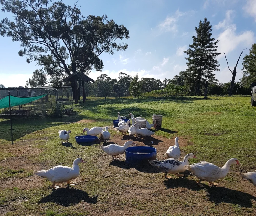 20180629_092926.jpg