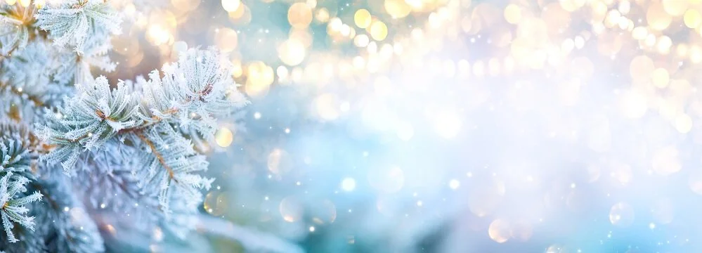 What’s On December (iii)