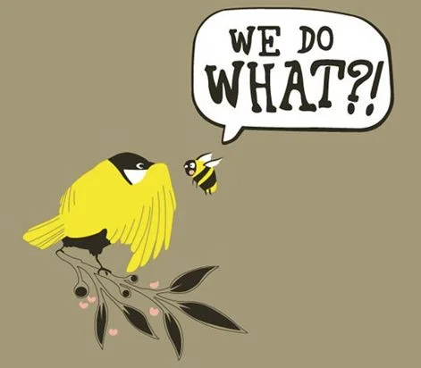 BUT HOW DID THE FIRST CAVEMAN KNOW WHAT TO DO?