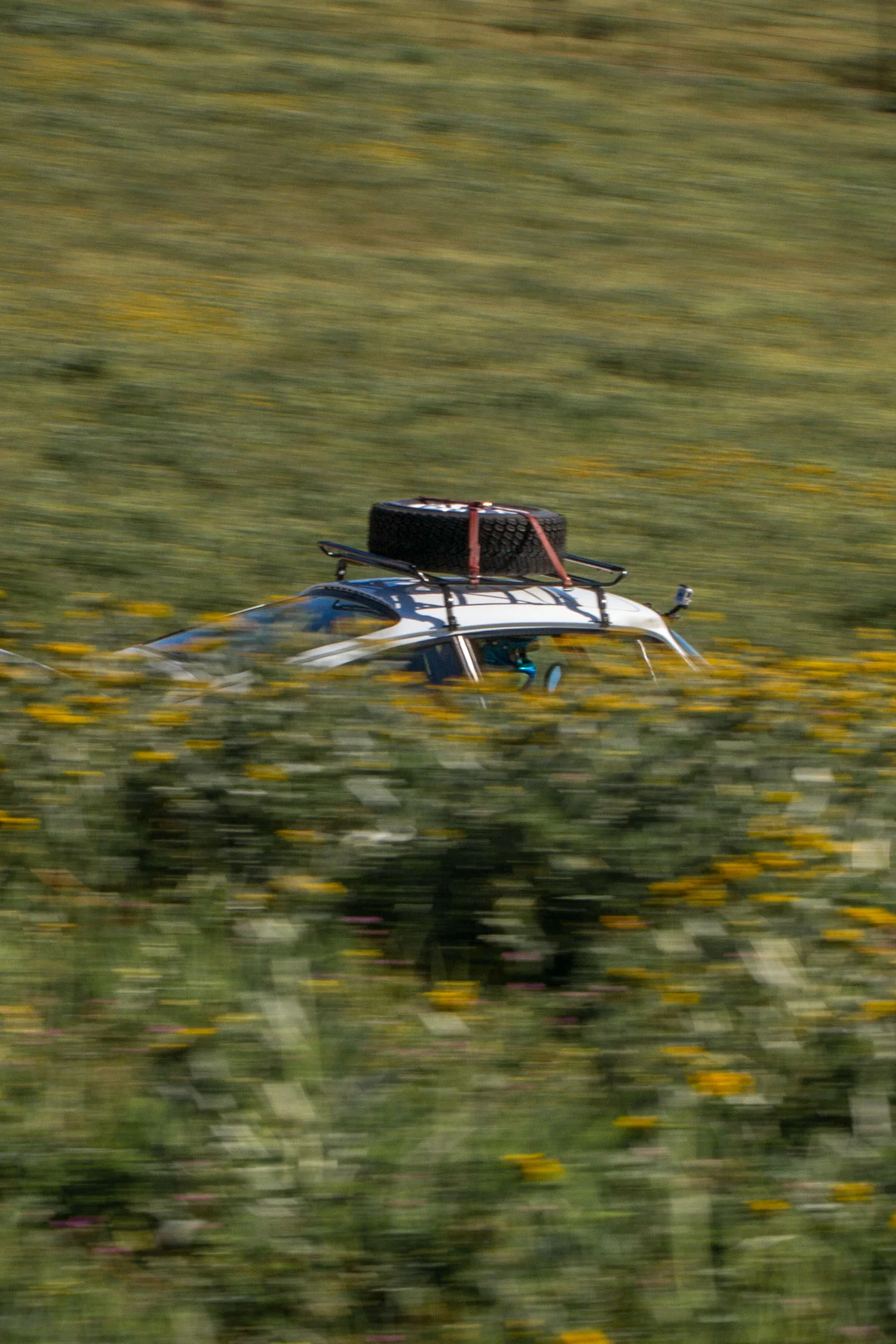 LuftAuto-TejonRanchBlog-7630.jpg