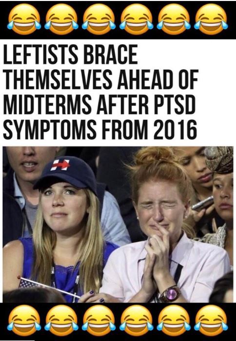 Above is a meme prior to the Mid Term election which pokes fun at the Democrat’s loss.