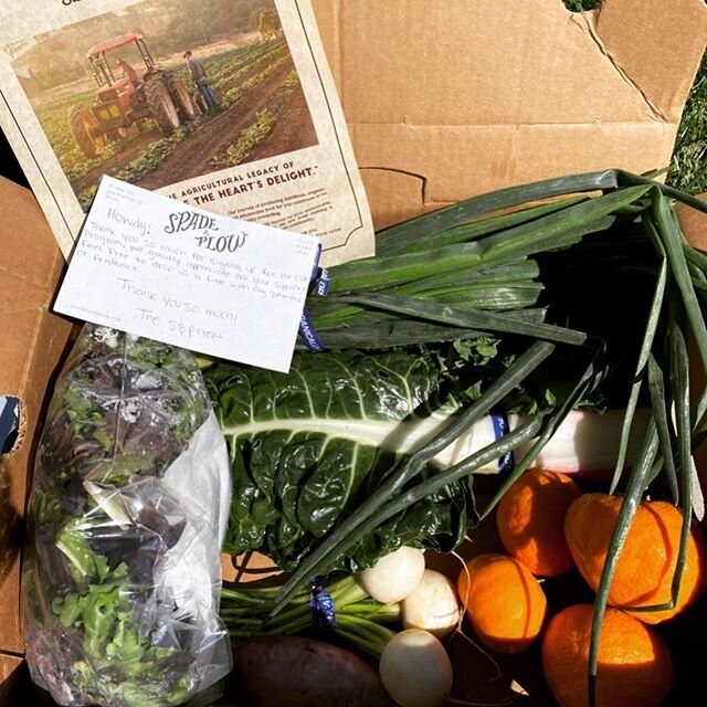 So grateful to @spadeandplow for their weekly csa delivery. The team over there has gone above and beyond what they needed to do to make sure people in the Bay Area can get access to fresh organic produce. They have been wonderful to work with during