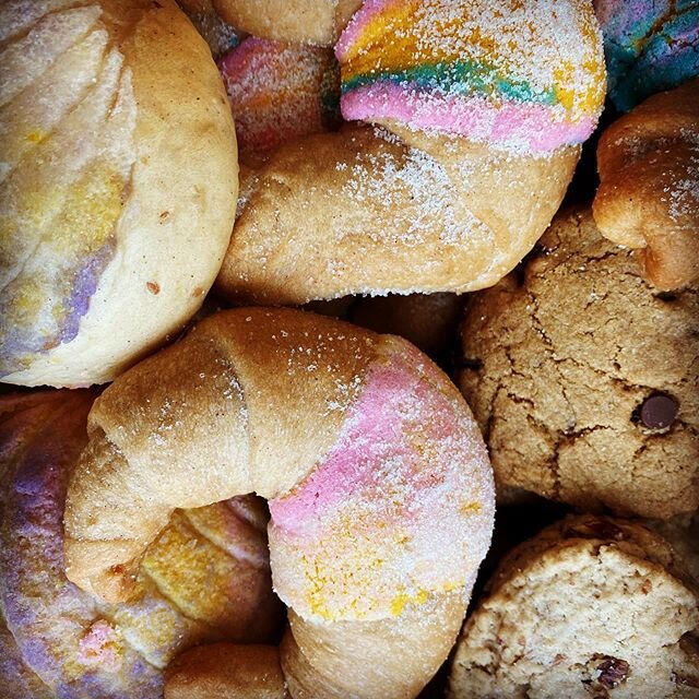 Vegan conchas and cuernitos and a 10 year old critiquing my accent. 
Thanks Jaguar Baker for making our bellies smile.

#veganpasteries
#Sanjosevegans
#jaguarbaker