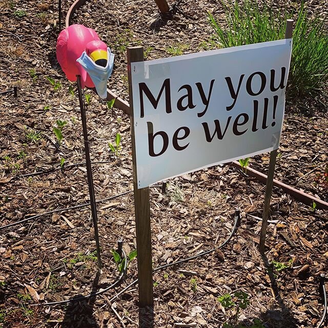 My neighborhood❤️ I love my neighbors!

I find the best way to reduce my anxiety is to walk for miles in my neighborhood listening to my favorite tunes. I typically walk 4-5 miles a day these days.

The soundtrack playing depends on the day but as of