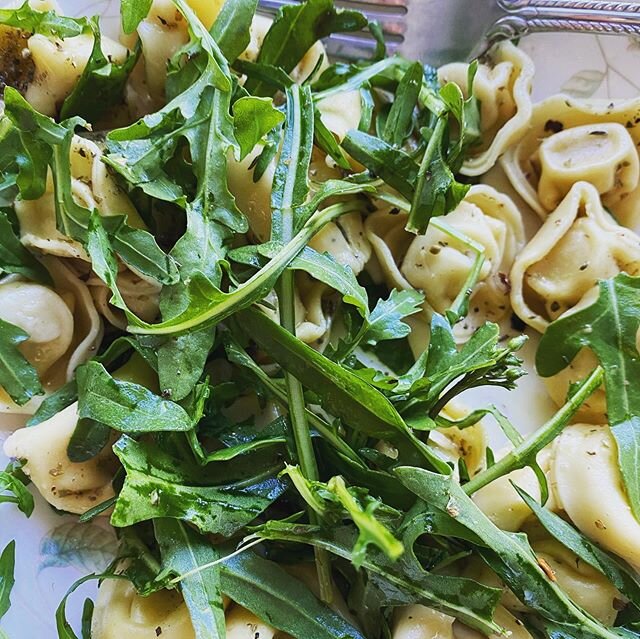 Sometimes this is what breakfast looks like. Pasta for breakfast. Fresh picked arugula and oregano from the garden.

#plantbasedmeals
#pastaforbreakfast
#sanjosevegans
#longislandvegan 
#bayareavegans
#plantbasedpasta
#yogawellnesslifestyle
#italianv