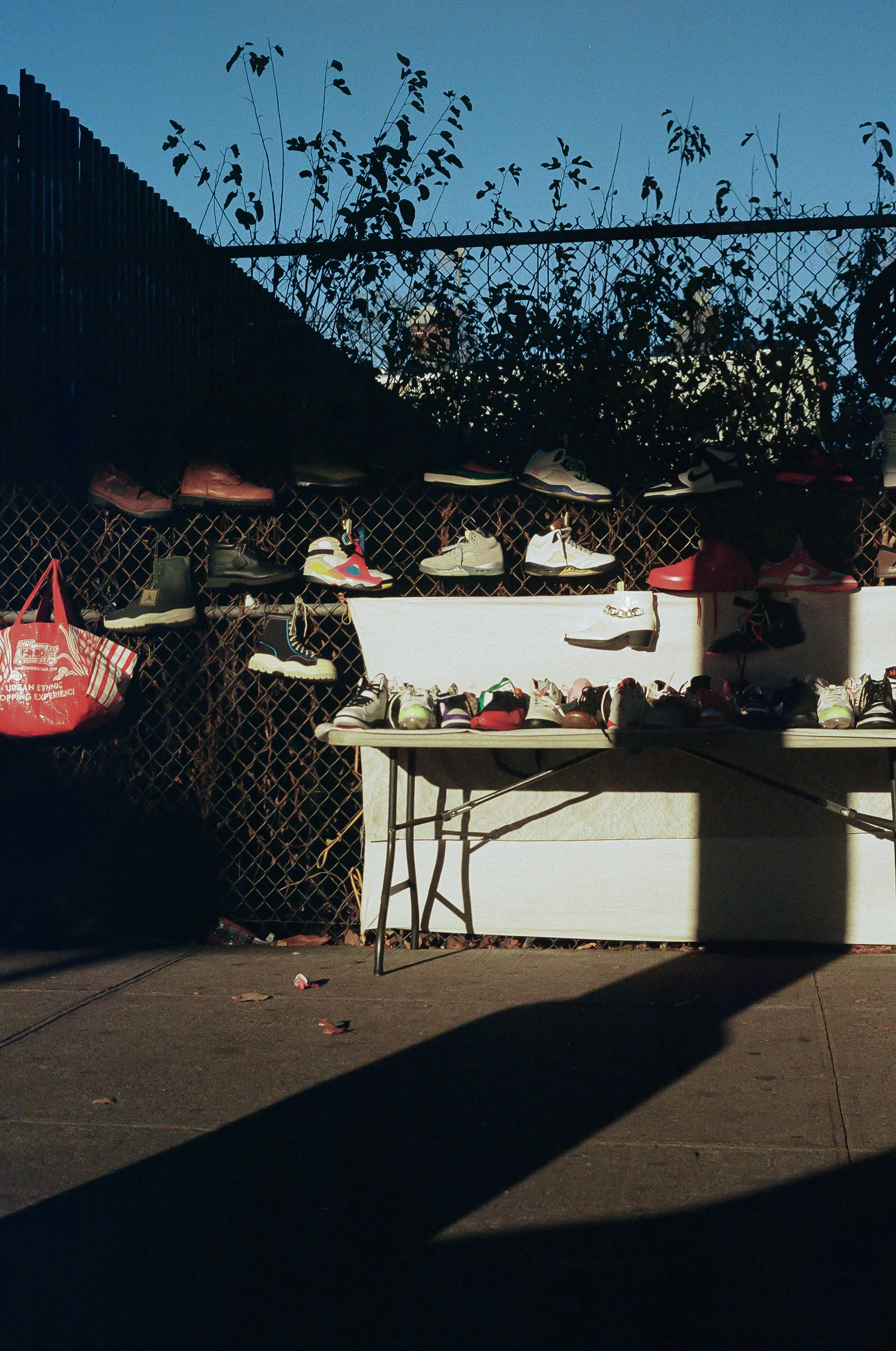 Summer Fall Film Random-16.jpg