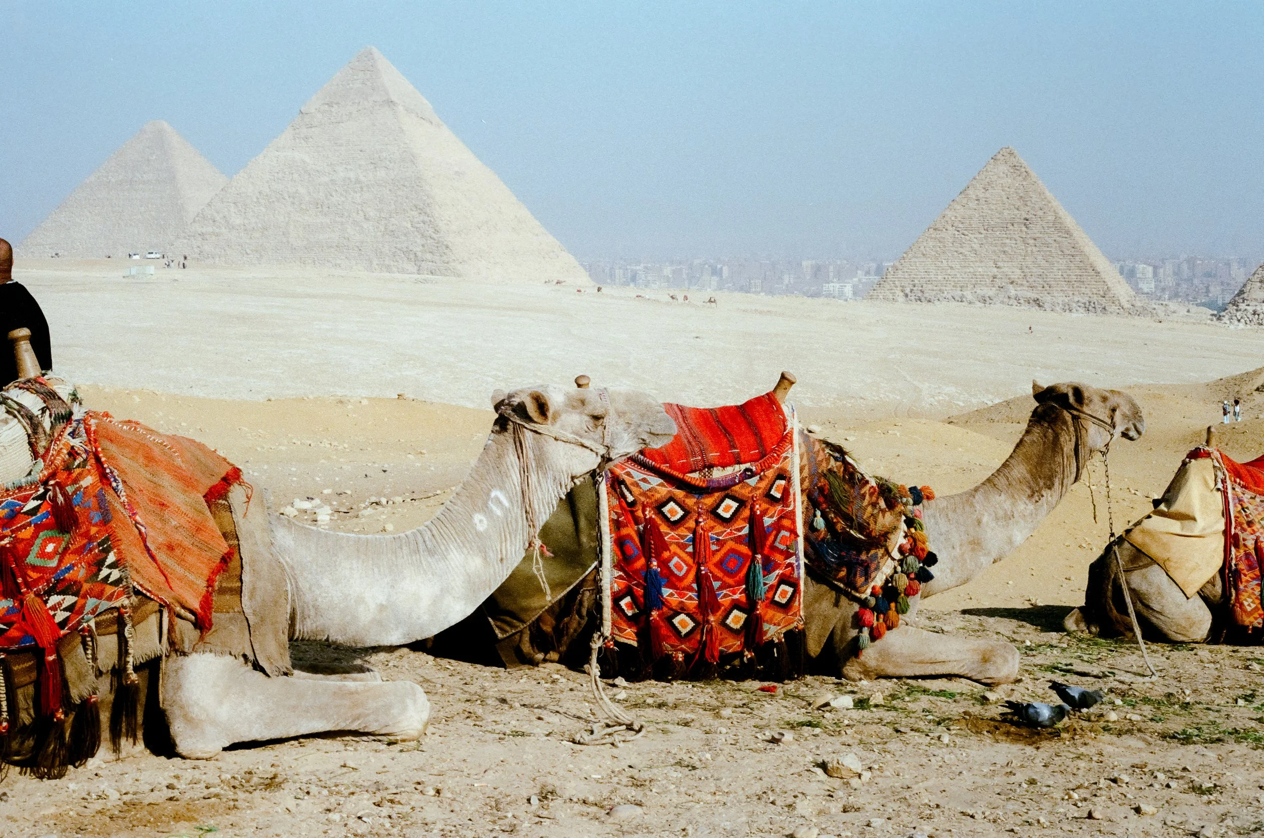 Egypt Roll 1-35.jpg