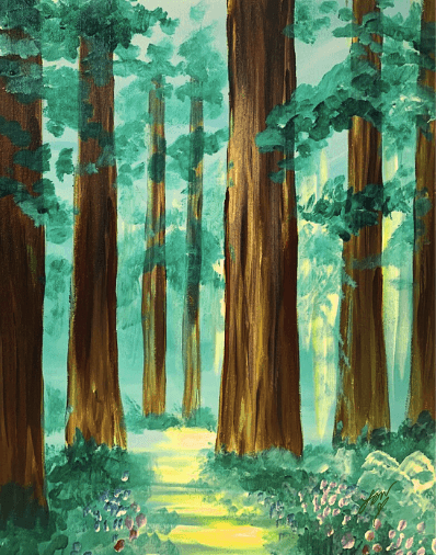 Redwood Stroll | 3-12-26