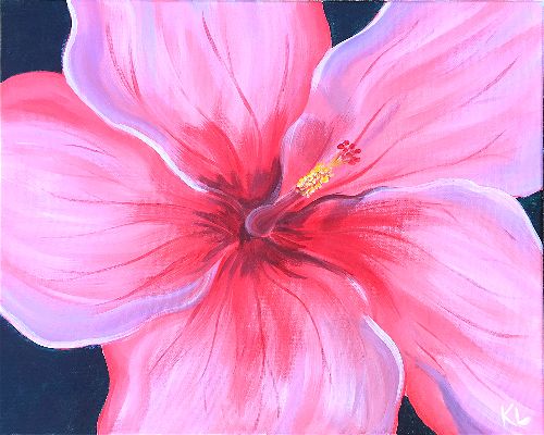 Hibiscus (Kelsey Lytle)-opt.jpg