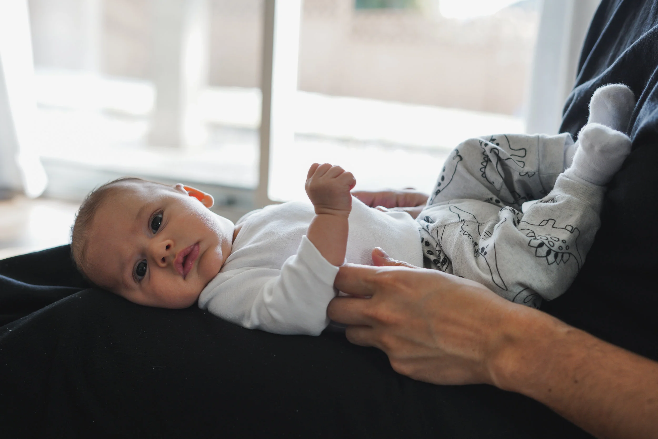 20190210-DSC09421-2.jpg
