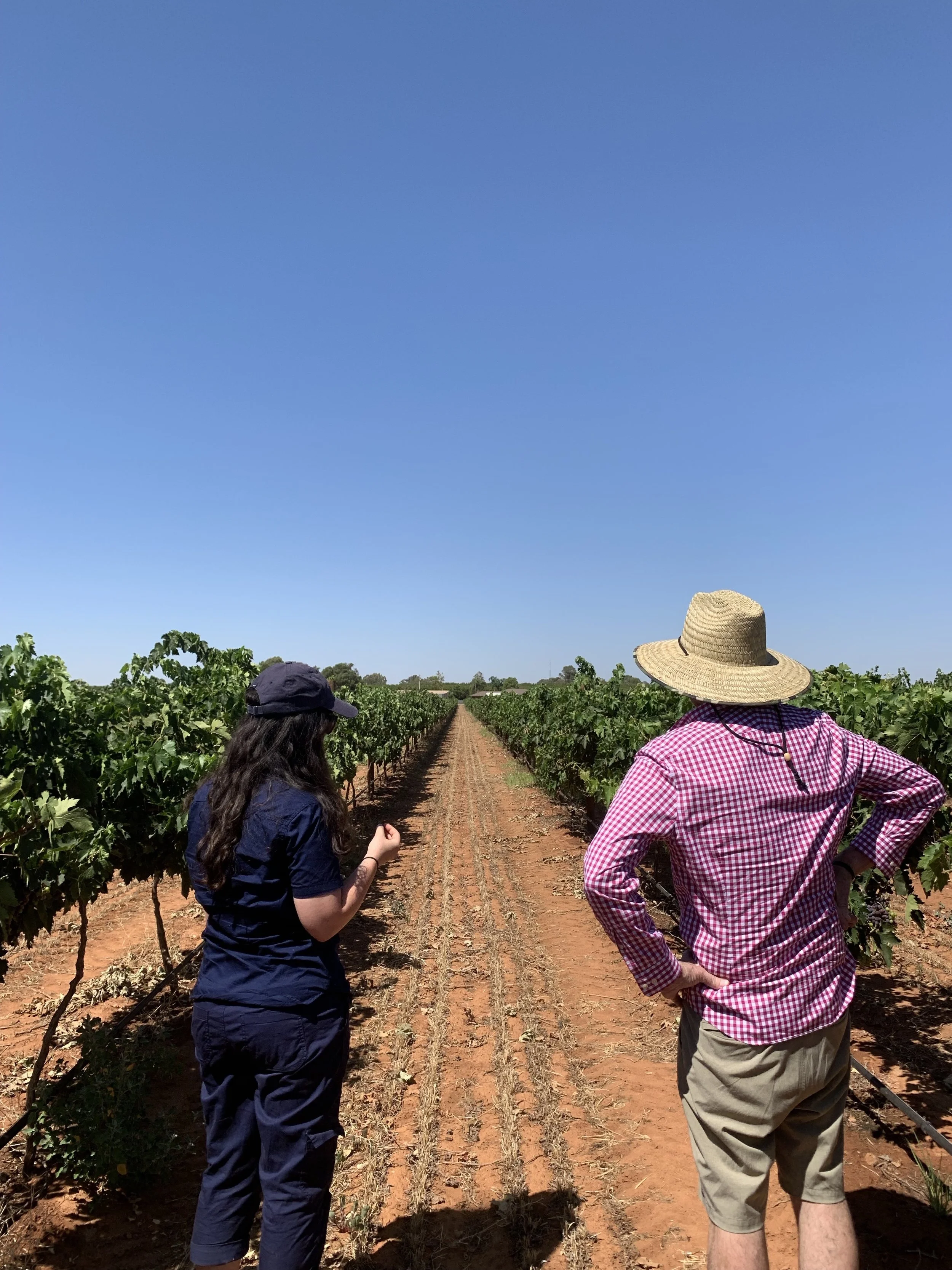 2019 Nero D’Avola vineyard checks with Kev