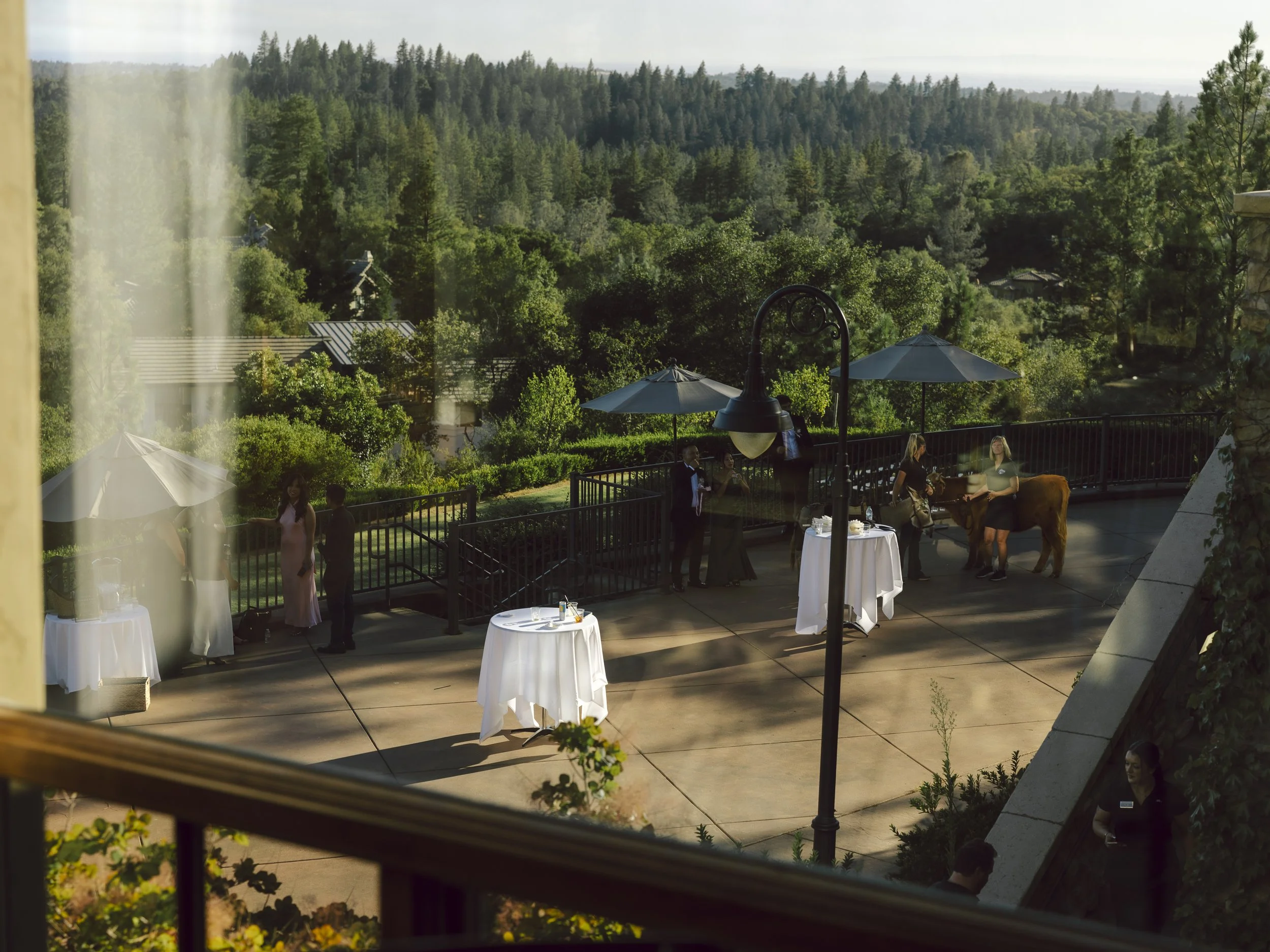 Winchester-Estate-in-Meadow-Vista-CA --14.jpg