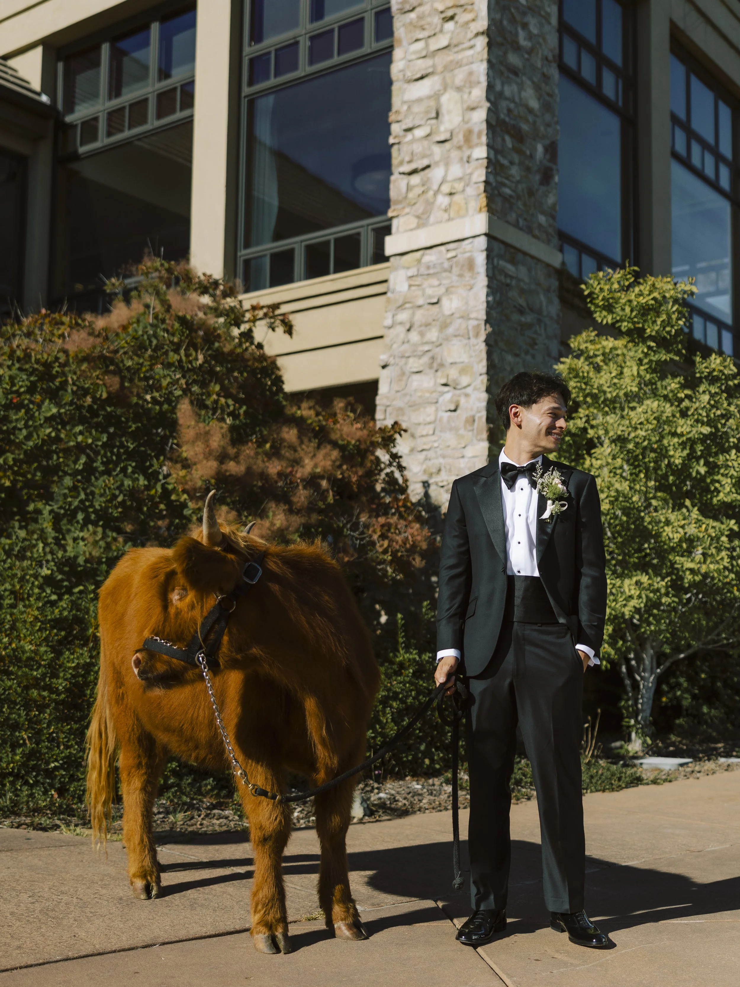 Winchester-Estate-in-Meadow-Vista-CA --21.jpg