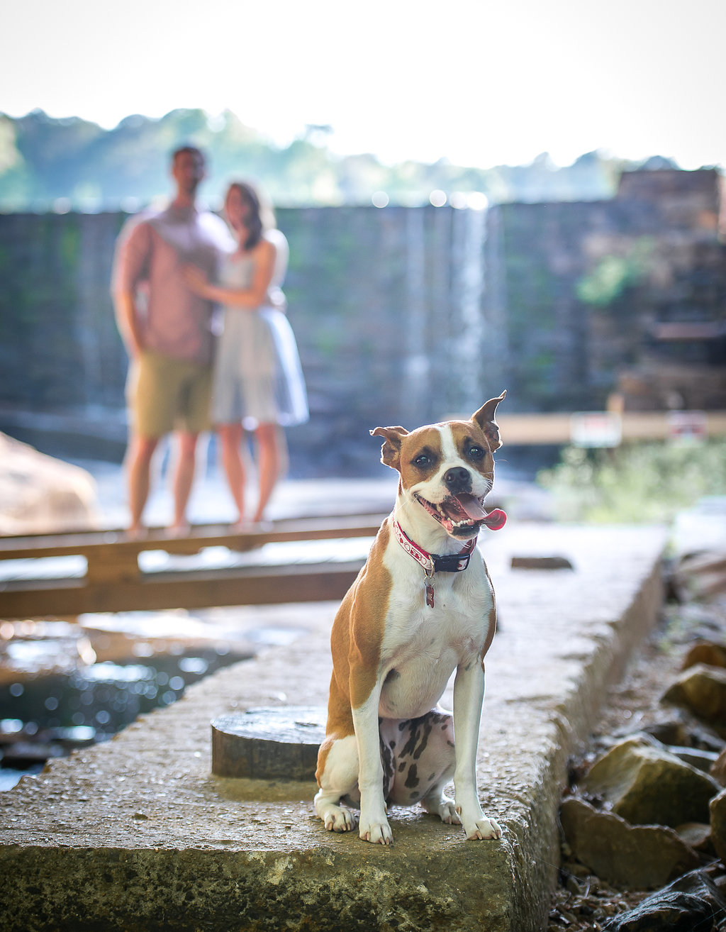 Dog Engagement Photos Raleigh NC.jpg