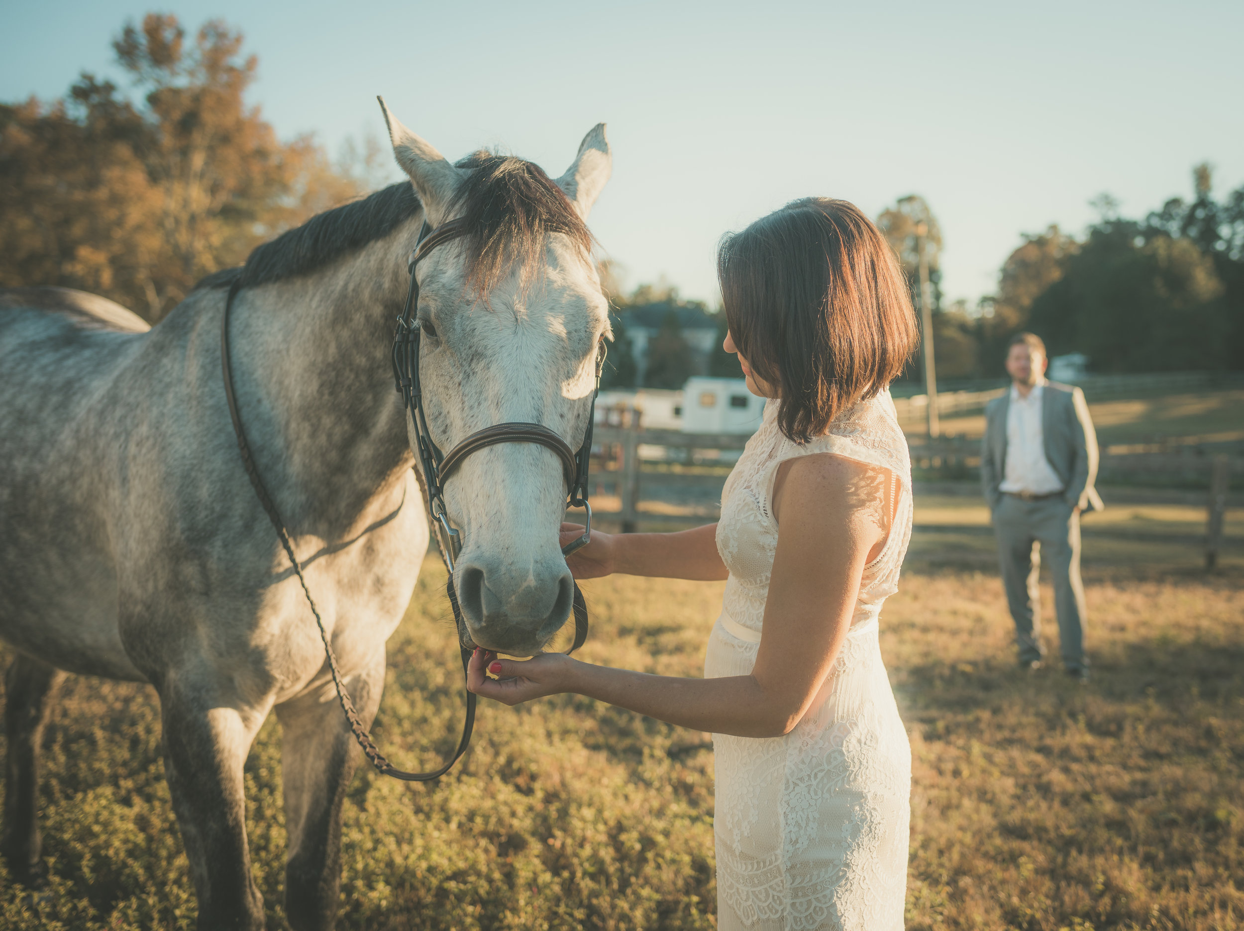 Bridal Portraits Shot in Raleigh NC with Horse.jpg