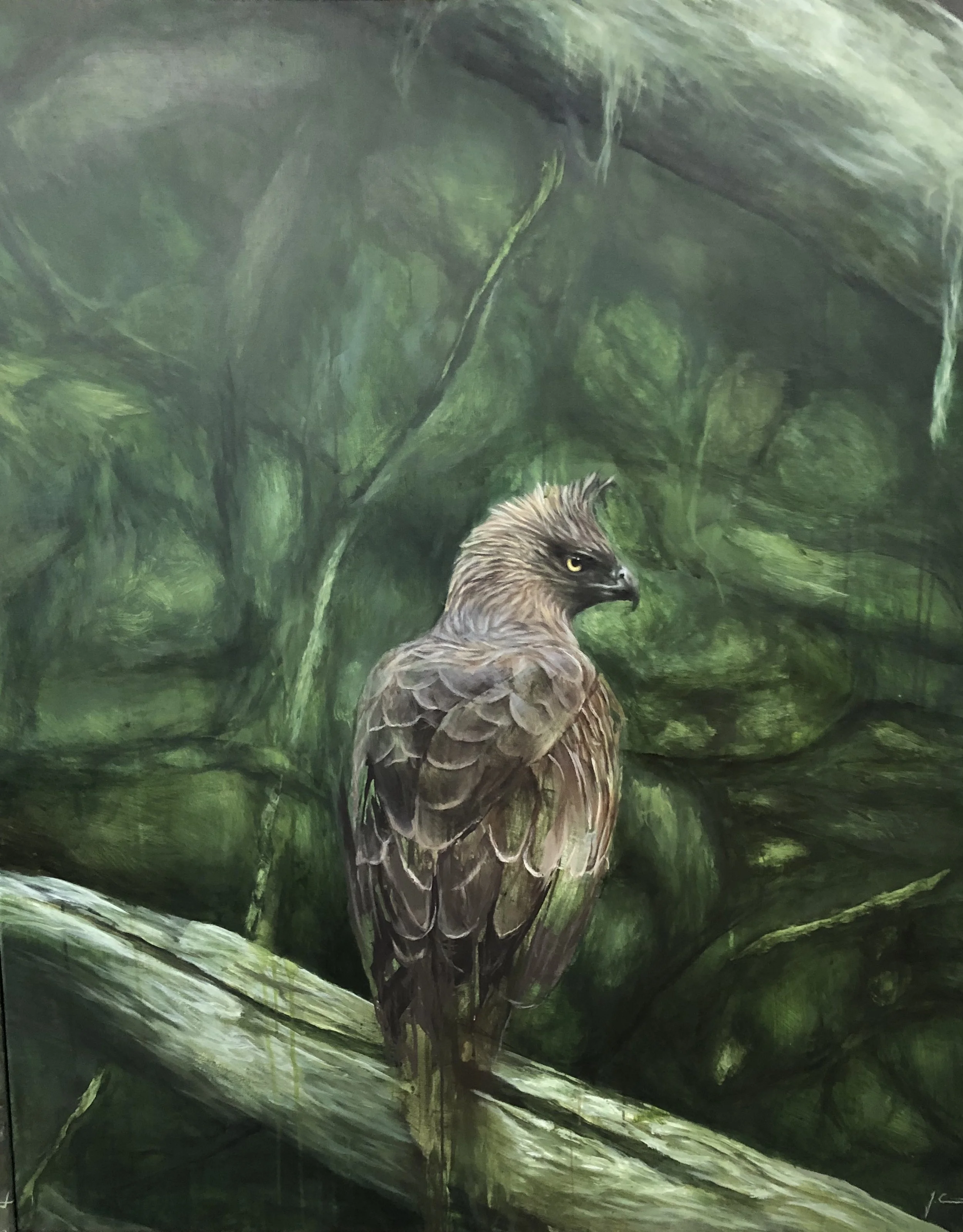 joshgumpert vogel.jpg