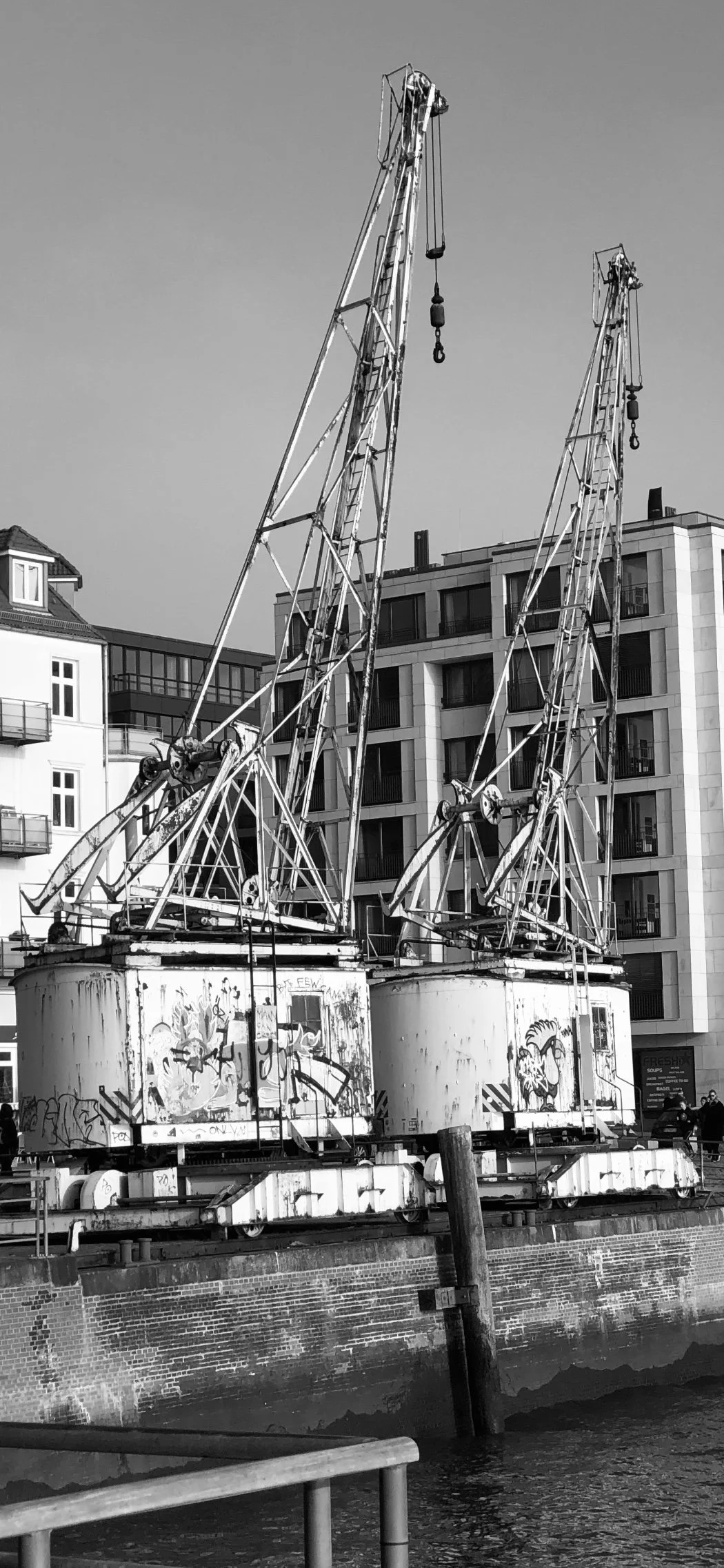 IMG_4572.jpg
