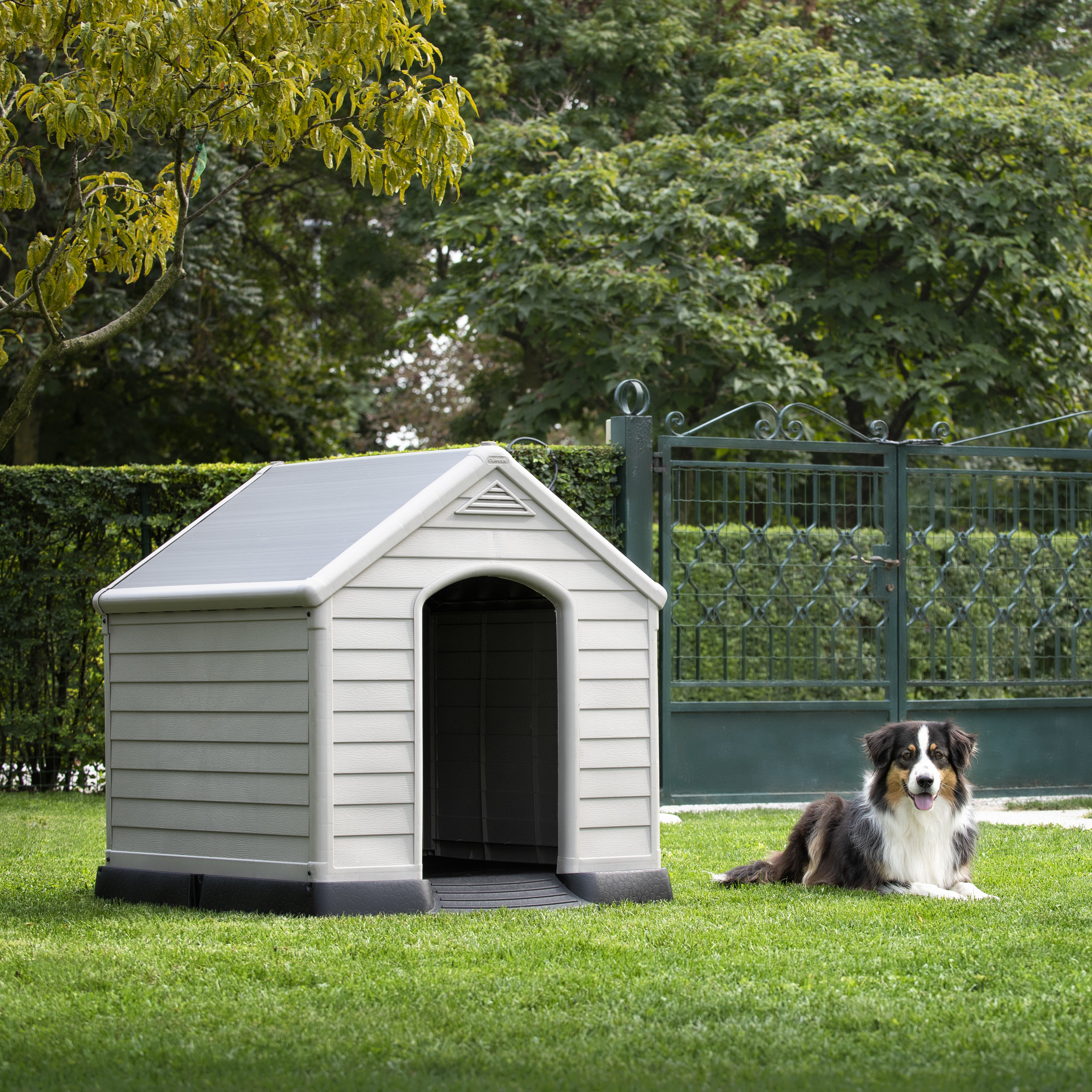 DOG HOUSE with dog.jpg